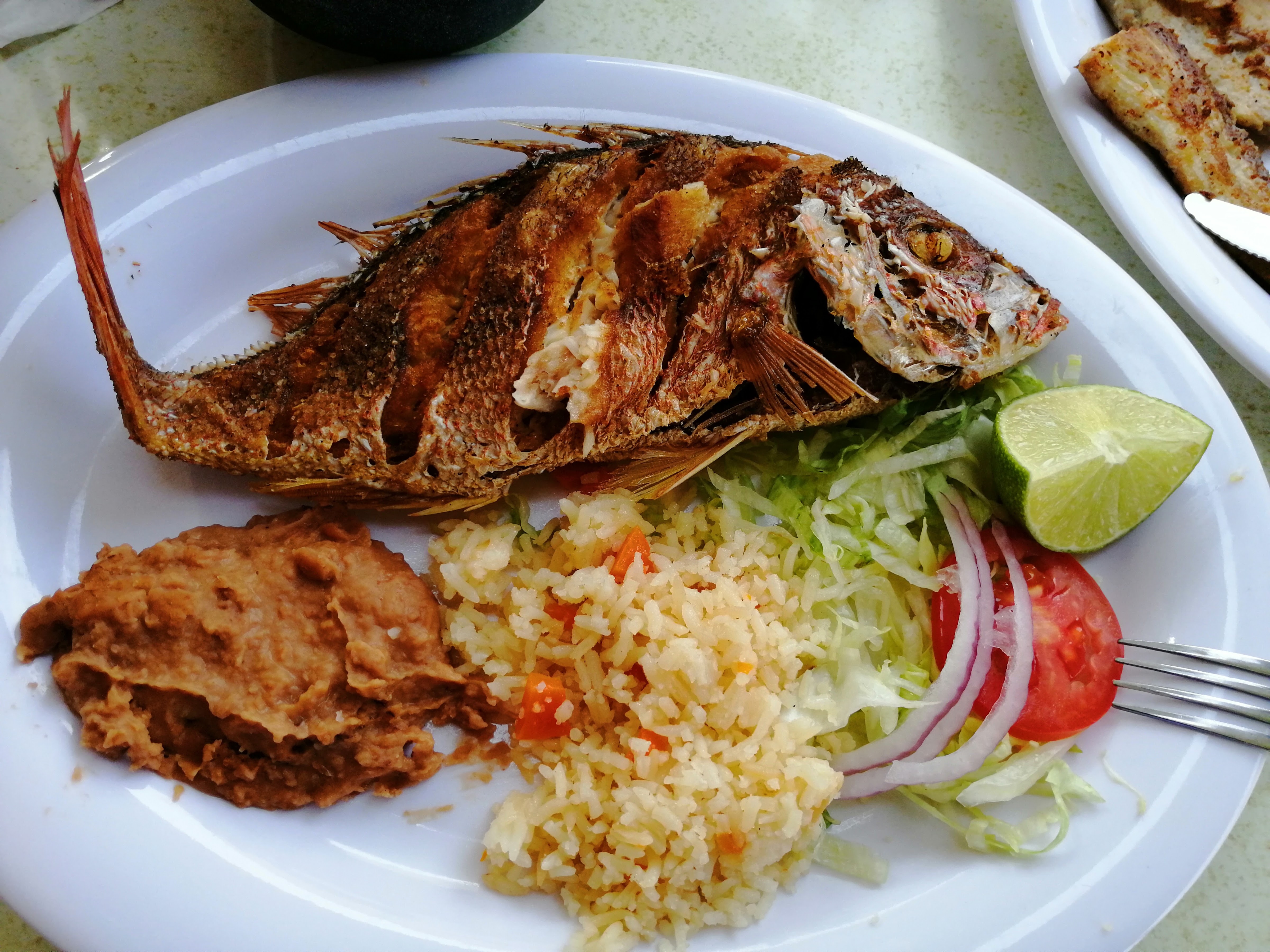 La Casita de Irma image 10