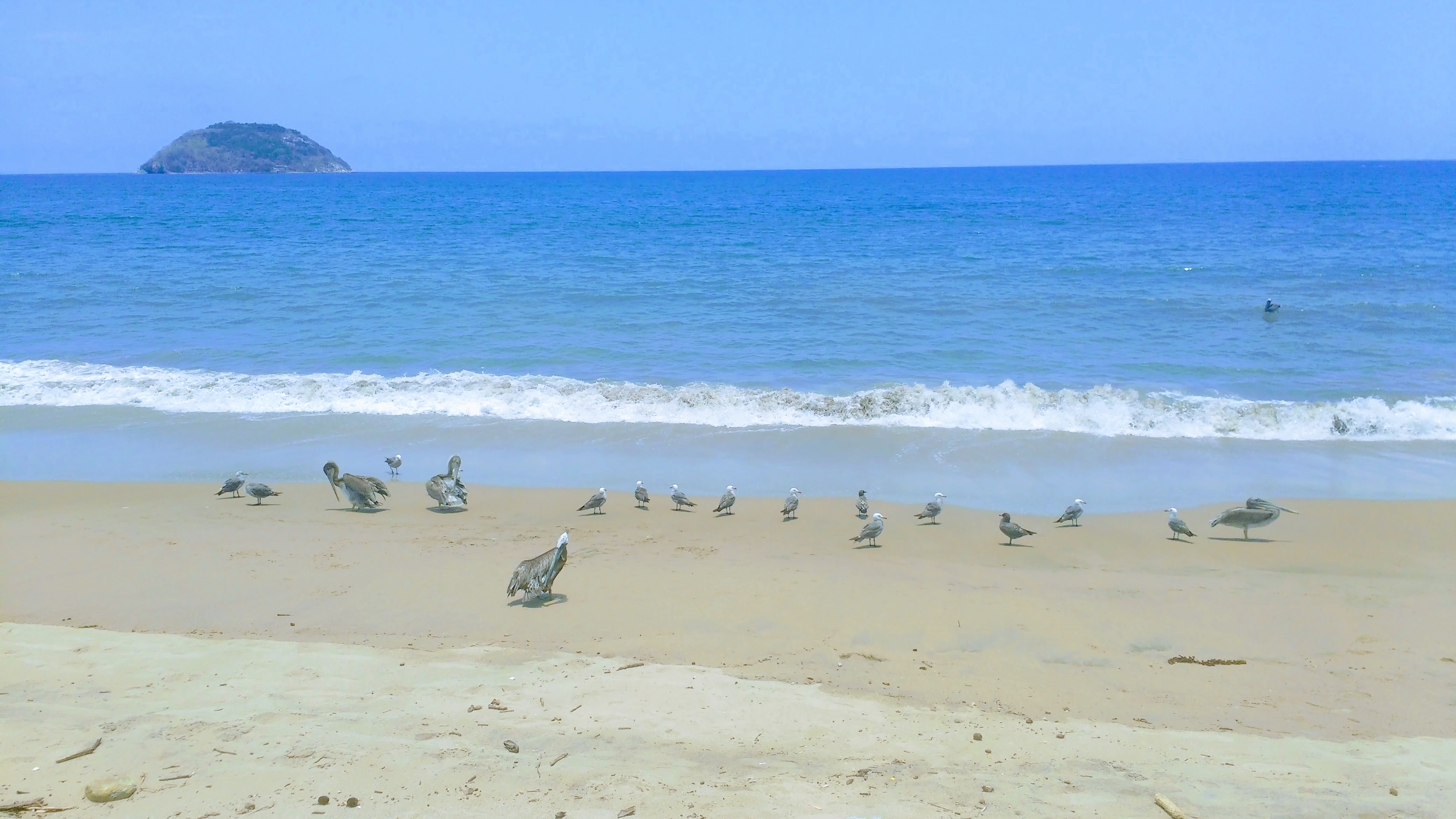 RESTAURANT LAS BRISAS BY TIKI image 6