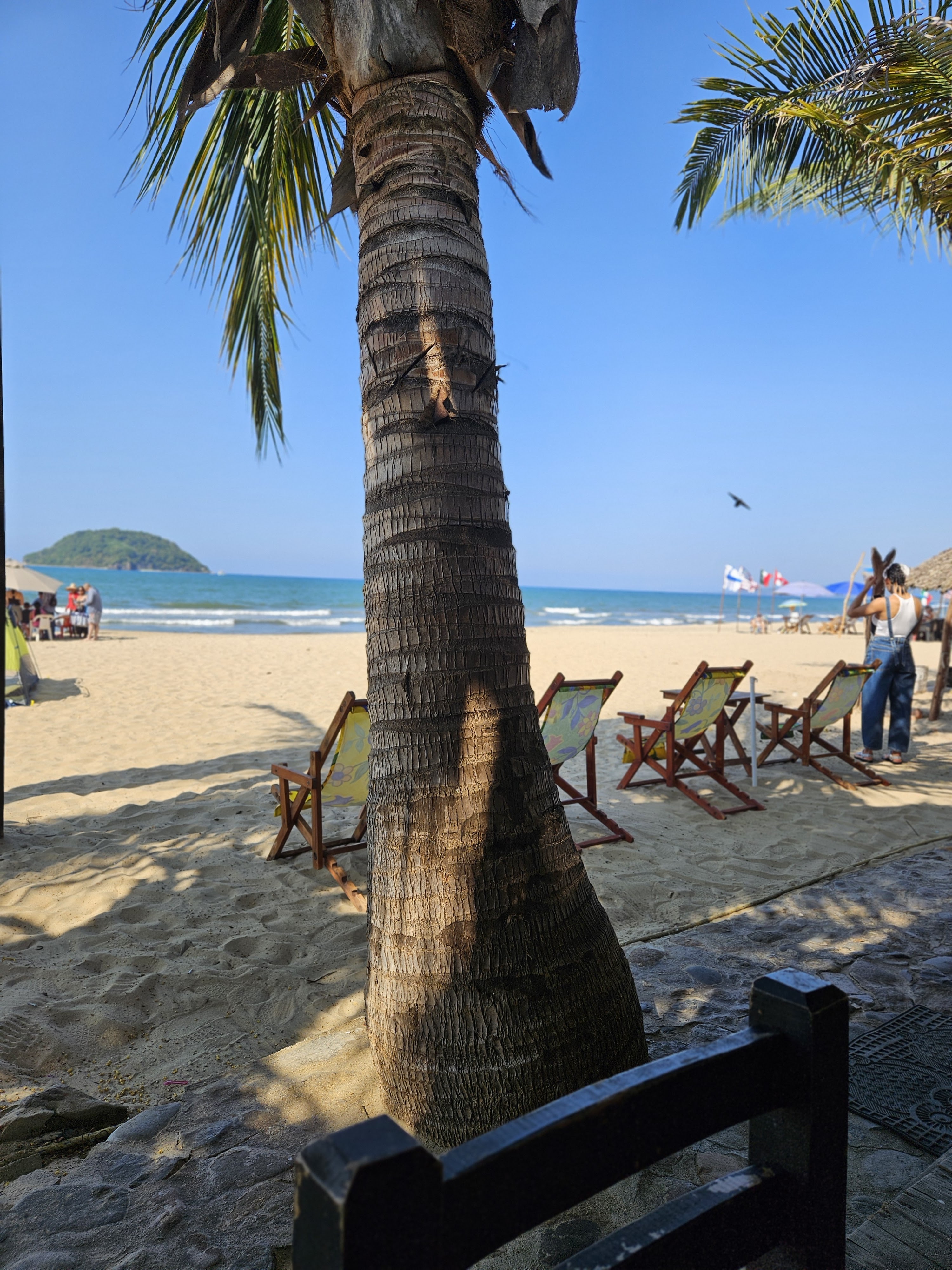 Juan's Place image 4