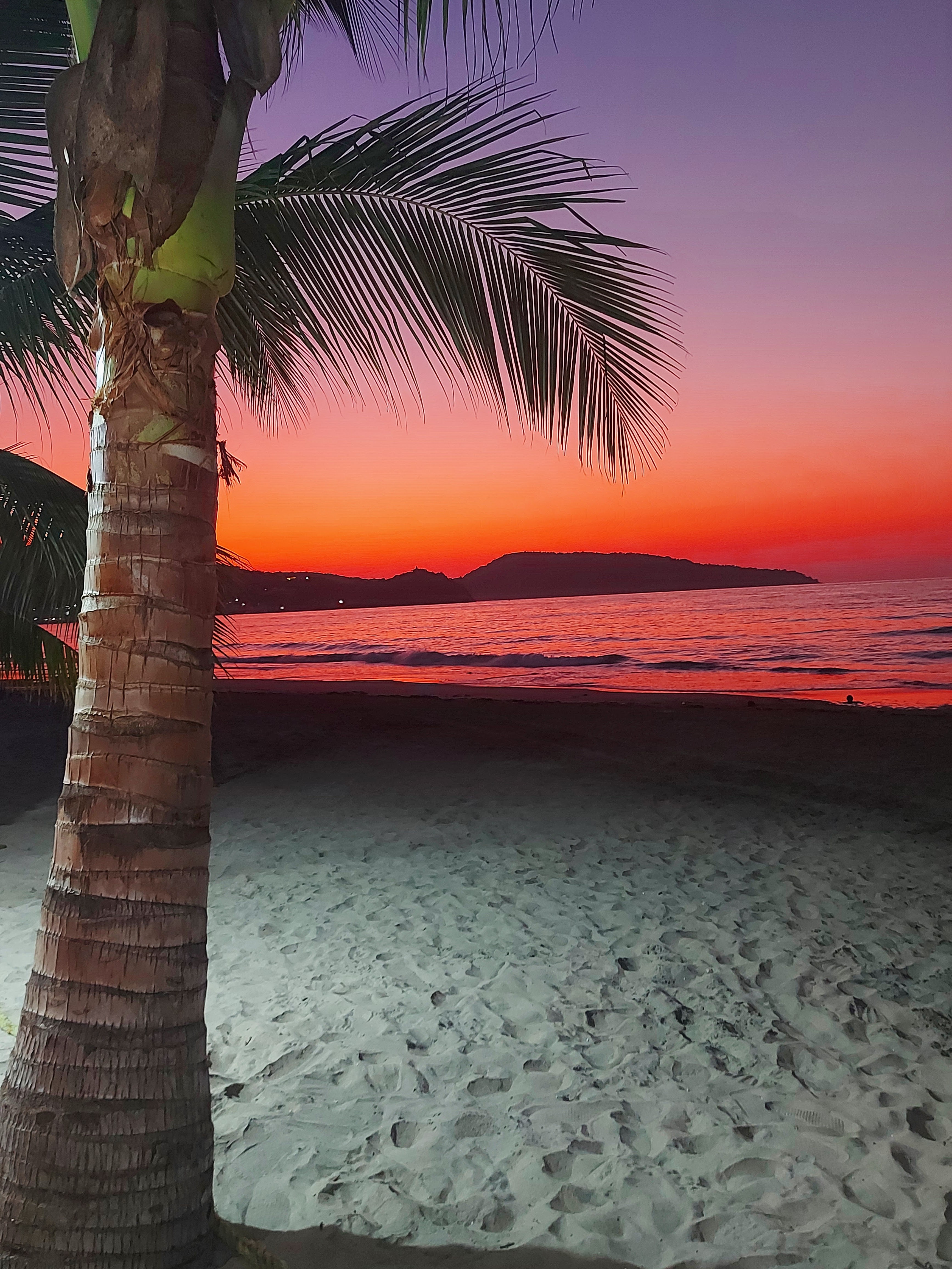 Juan's Place image 7