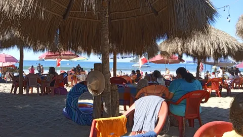 Restaurant El Amigo Vargas image 6