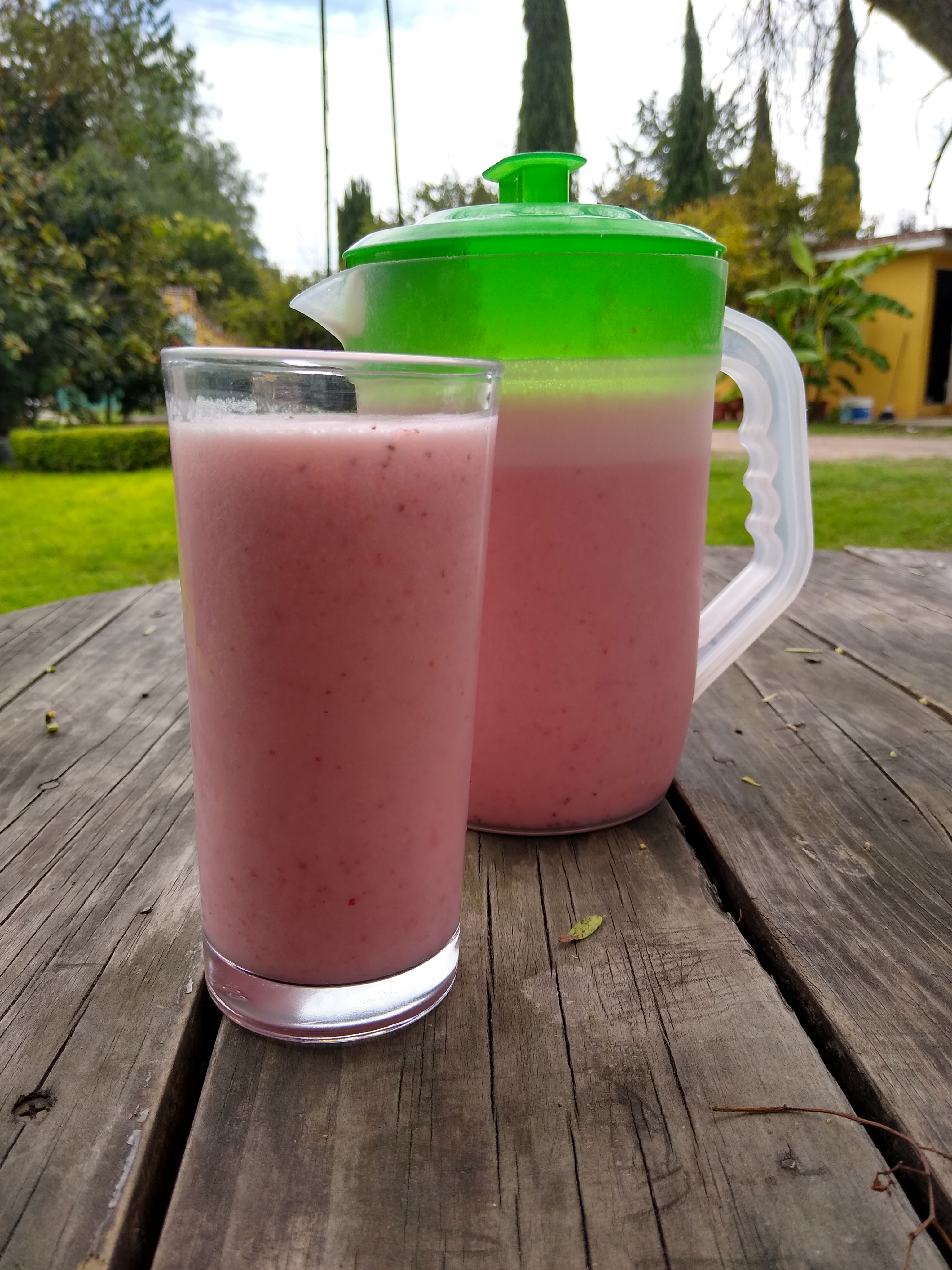 Pulqueria "Don Goyo" image 2