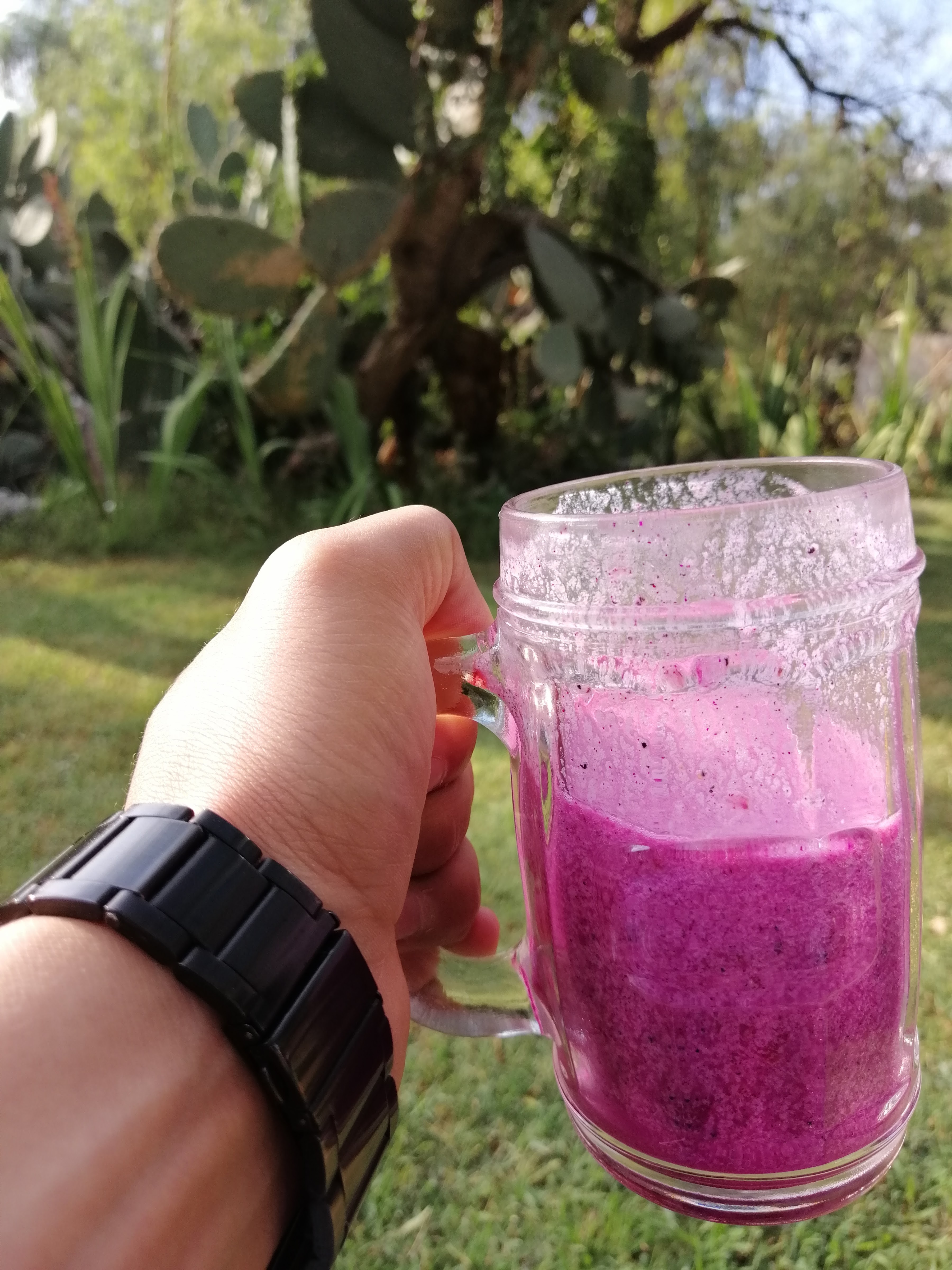 Pulqueria "Don Goyo" image 3