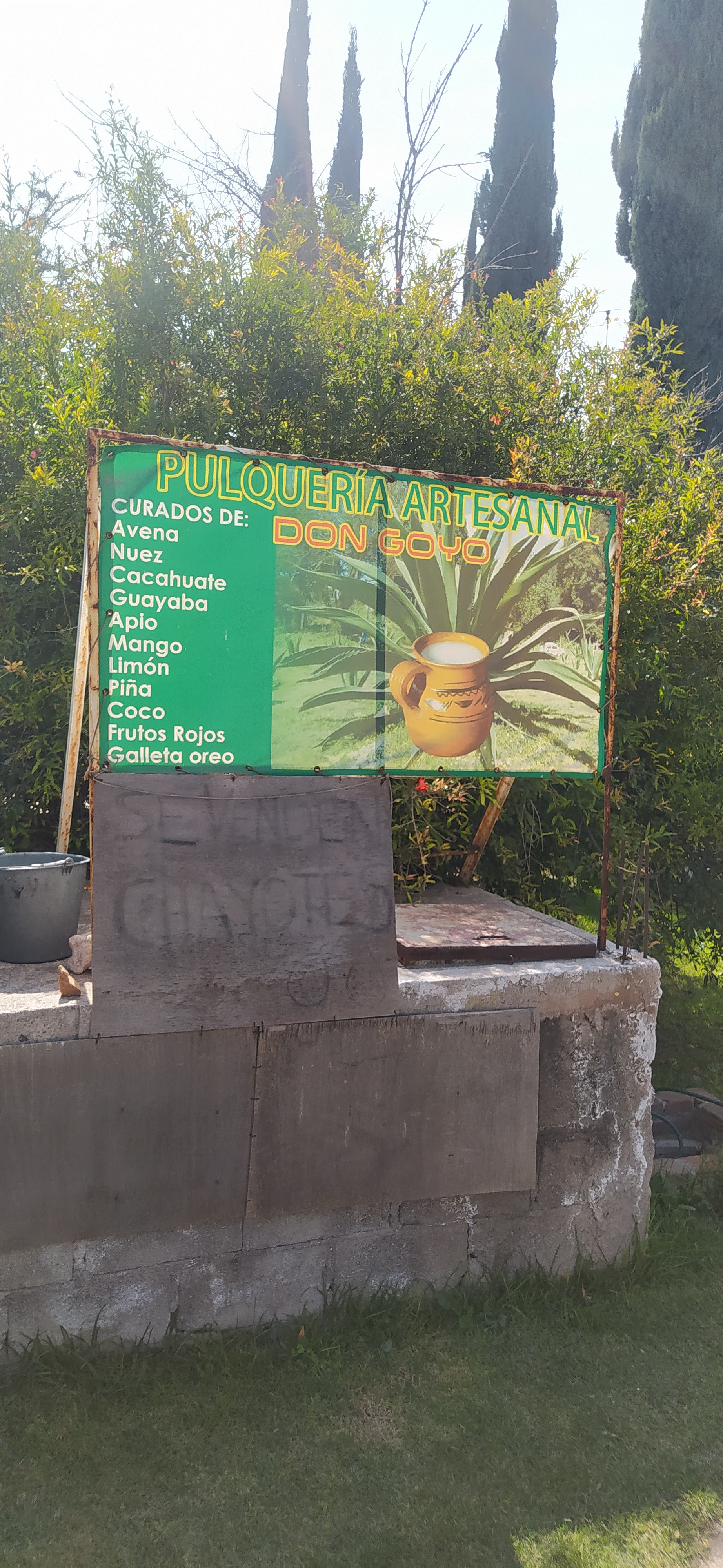 Pulqueria "Don Goyo" image 9