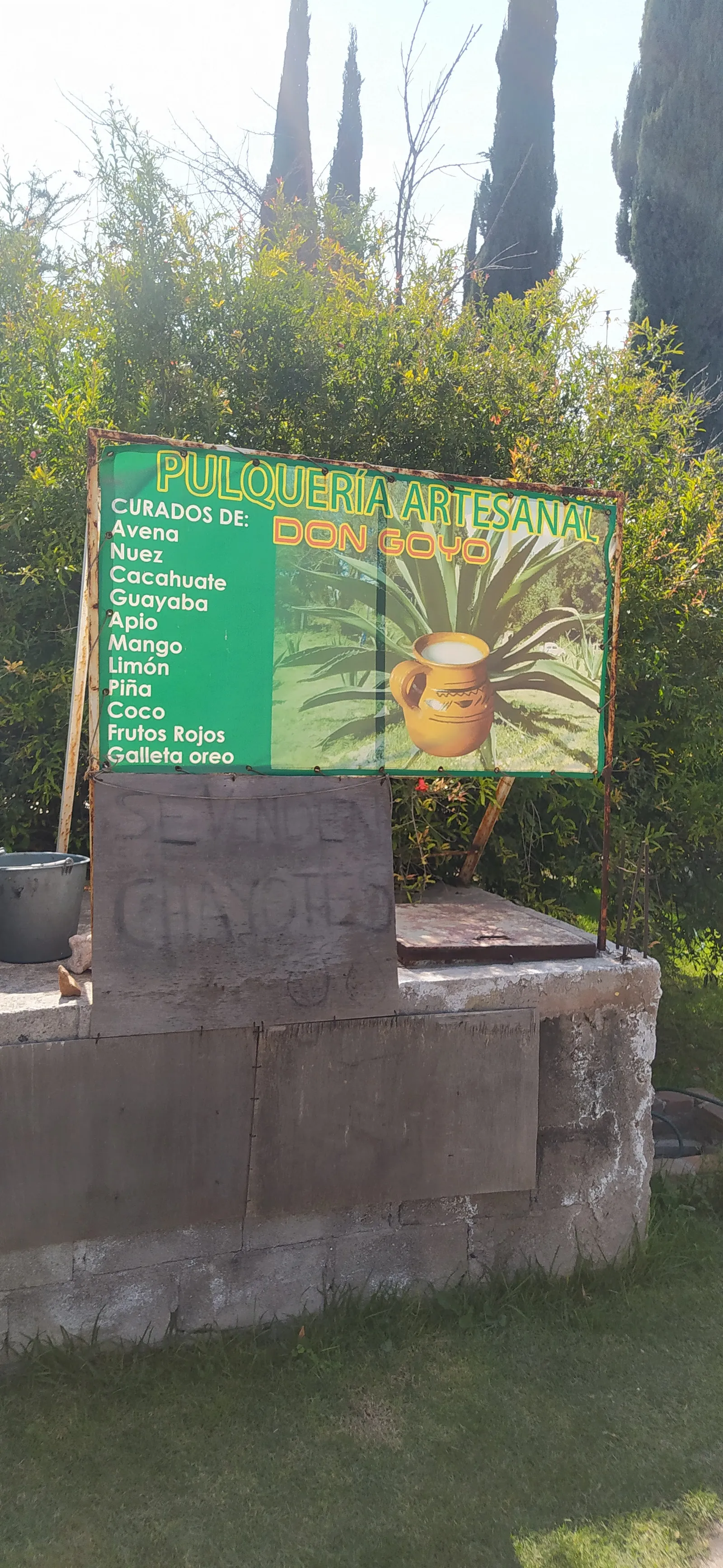 Pulqueria "Don Goyo" image 9
