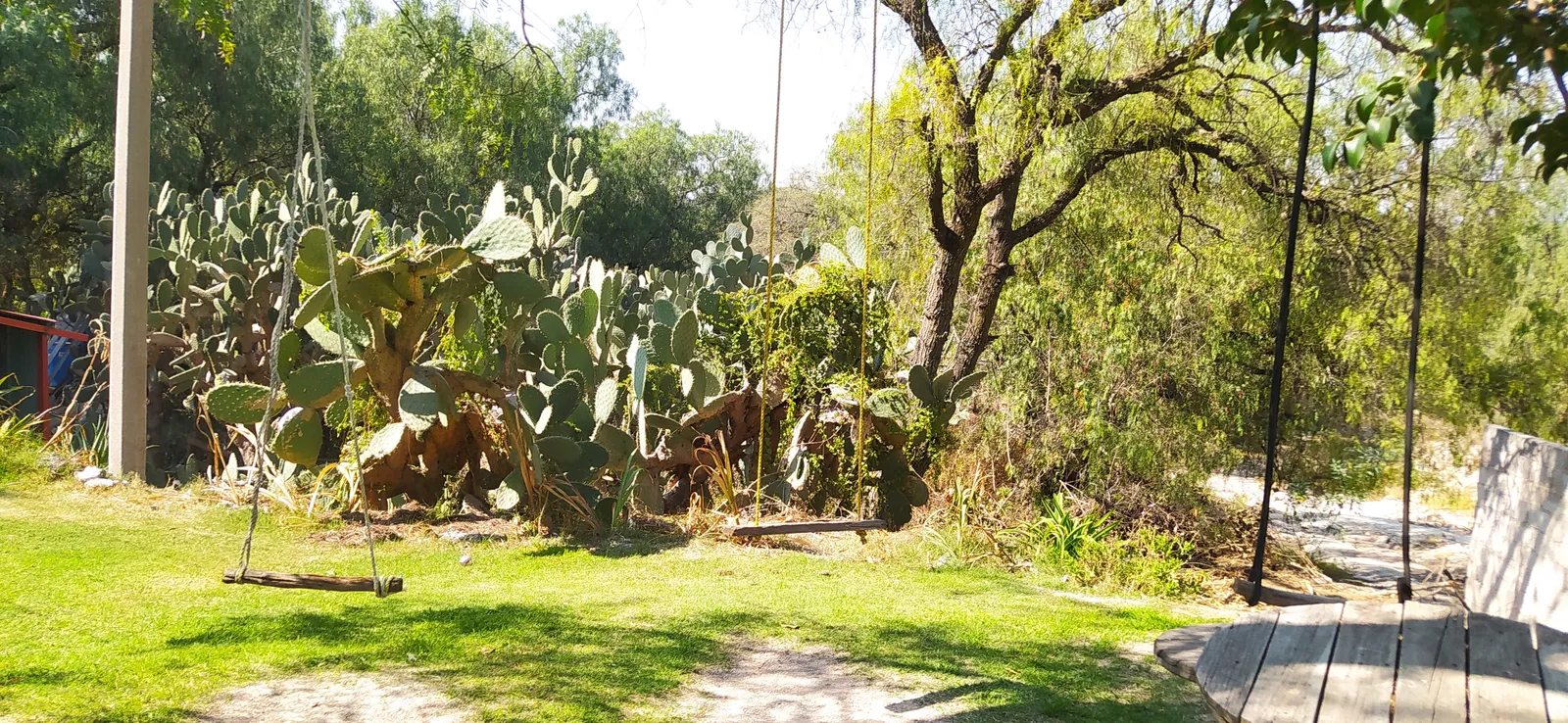 Pulqueria "Don Goyo" image 10