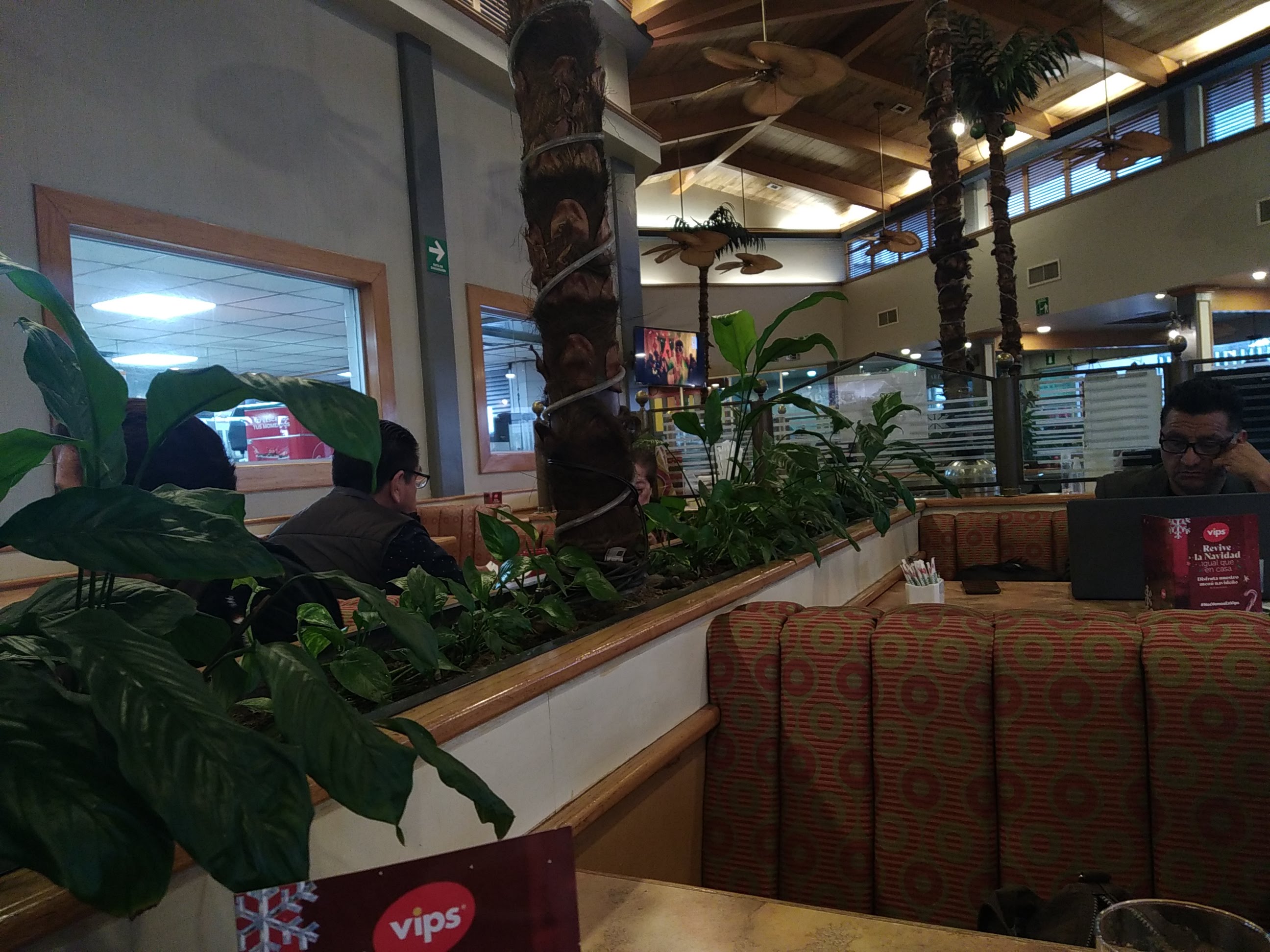 Vips Xalapa Plaza Crystal image 3