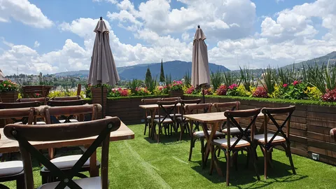 Vinos y Piedra image 1