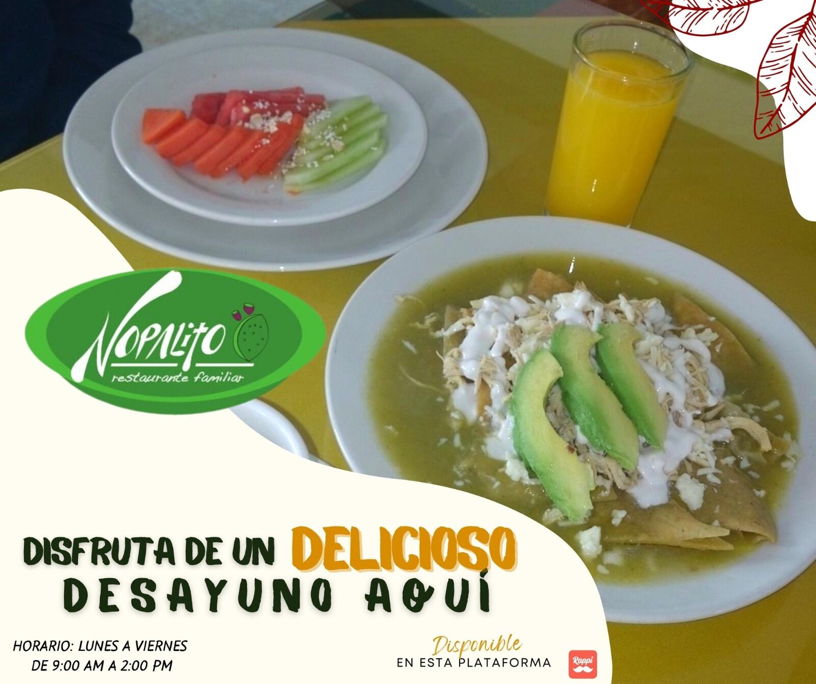 El Nopalito image 7
