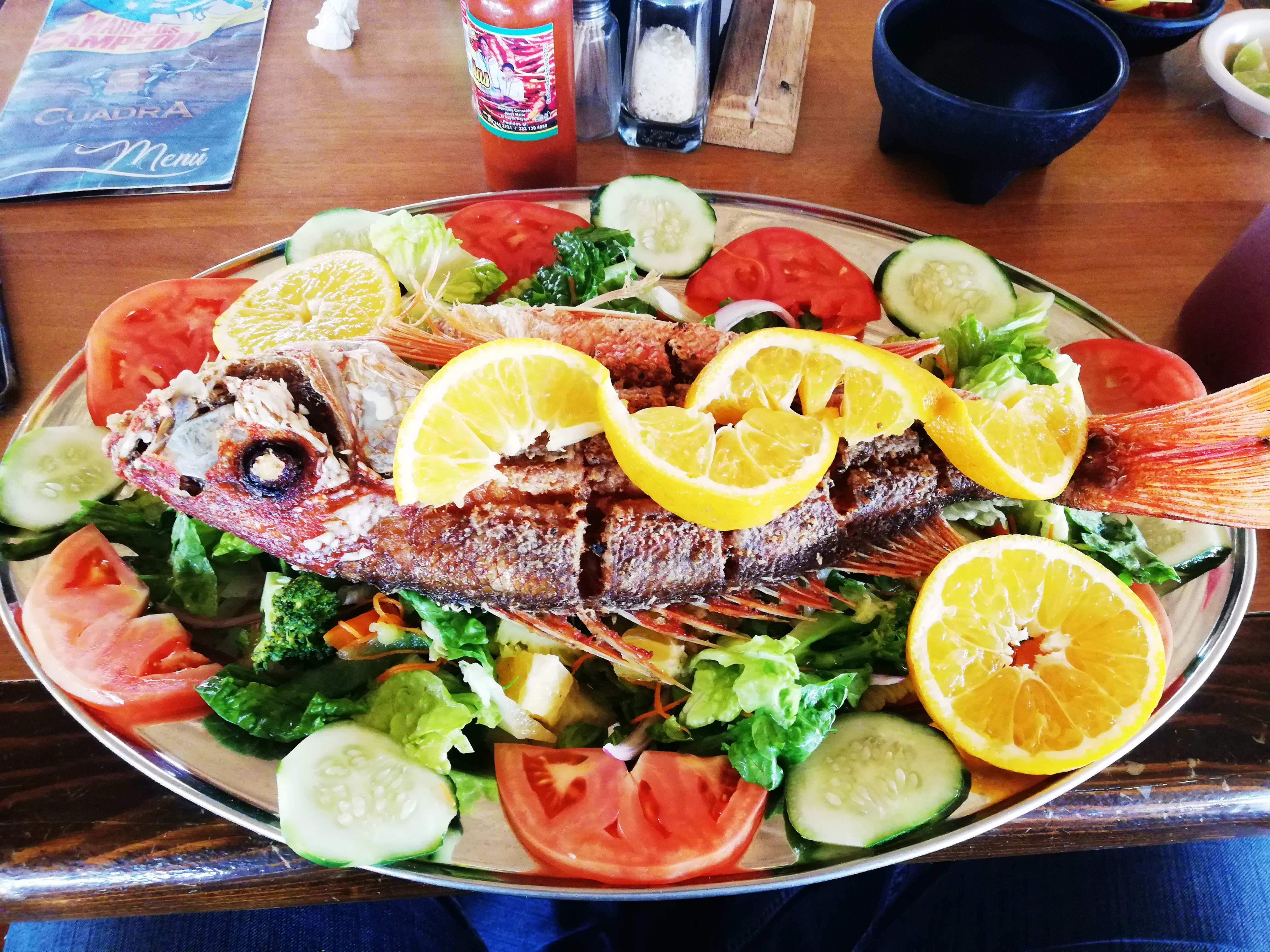 Campeón cocina de mar image 2