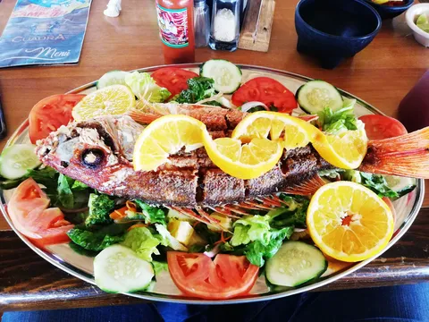 Campeón cocina de mar image 2