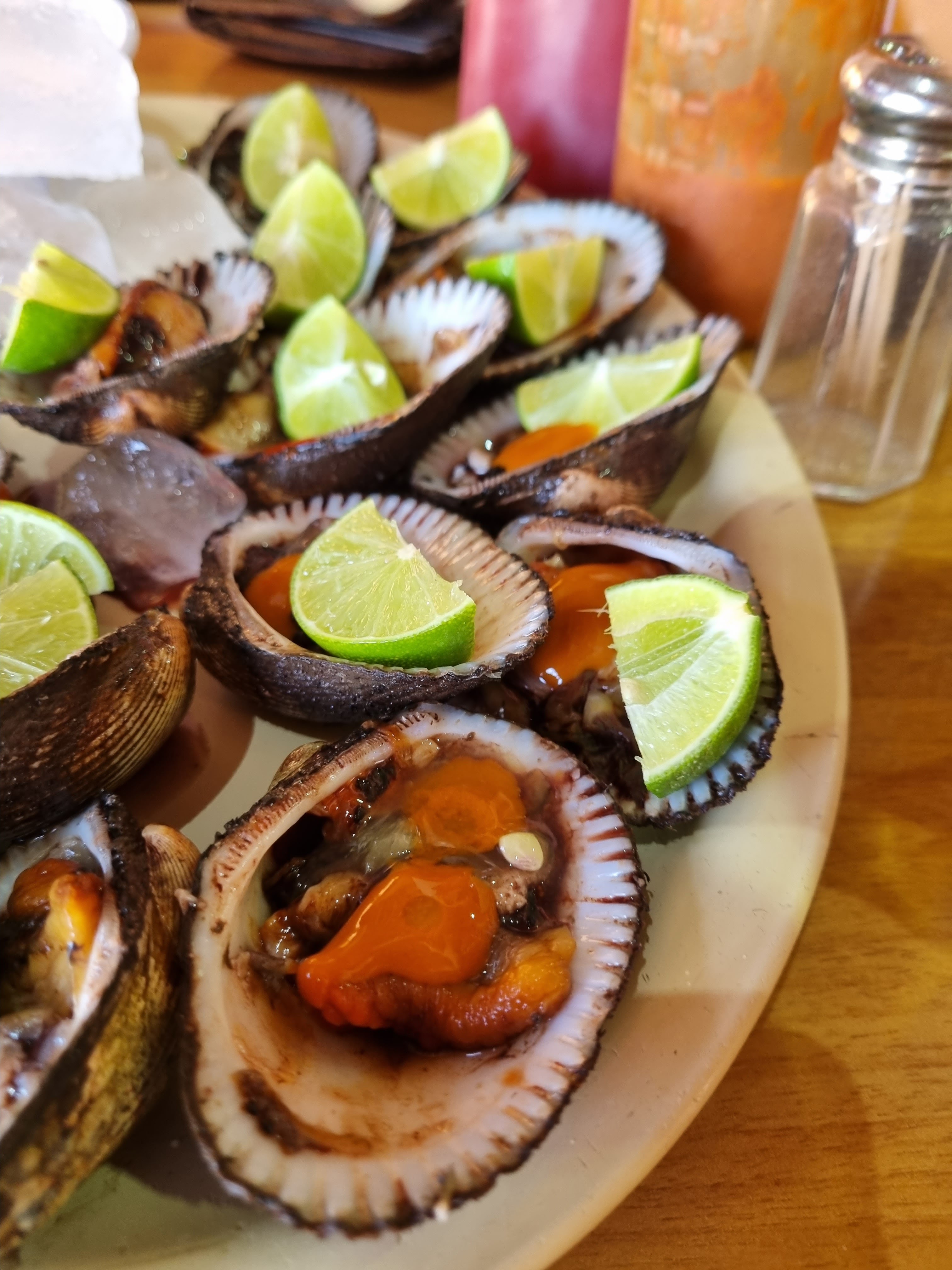 Campeón cocina de mar image 5