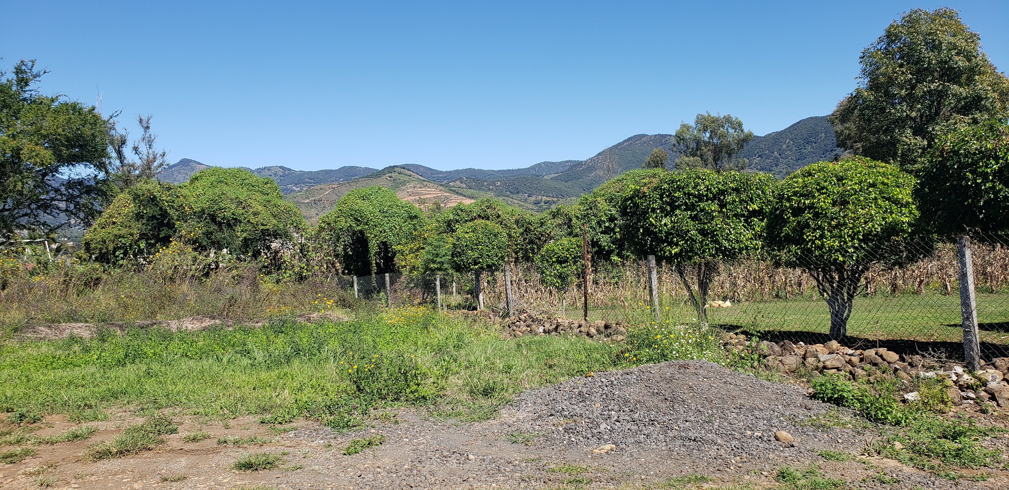 Los Comalitos image 9