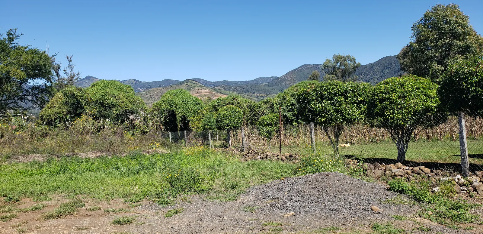 Los Comalitos image 9