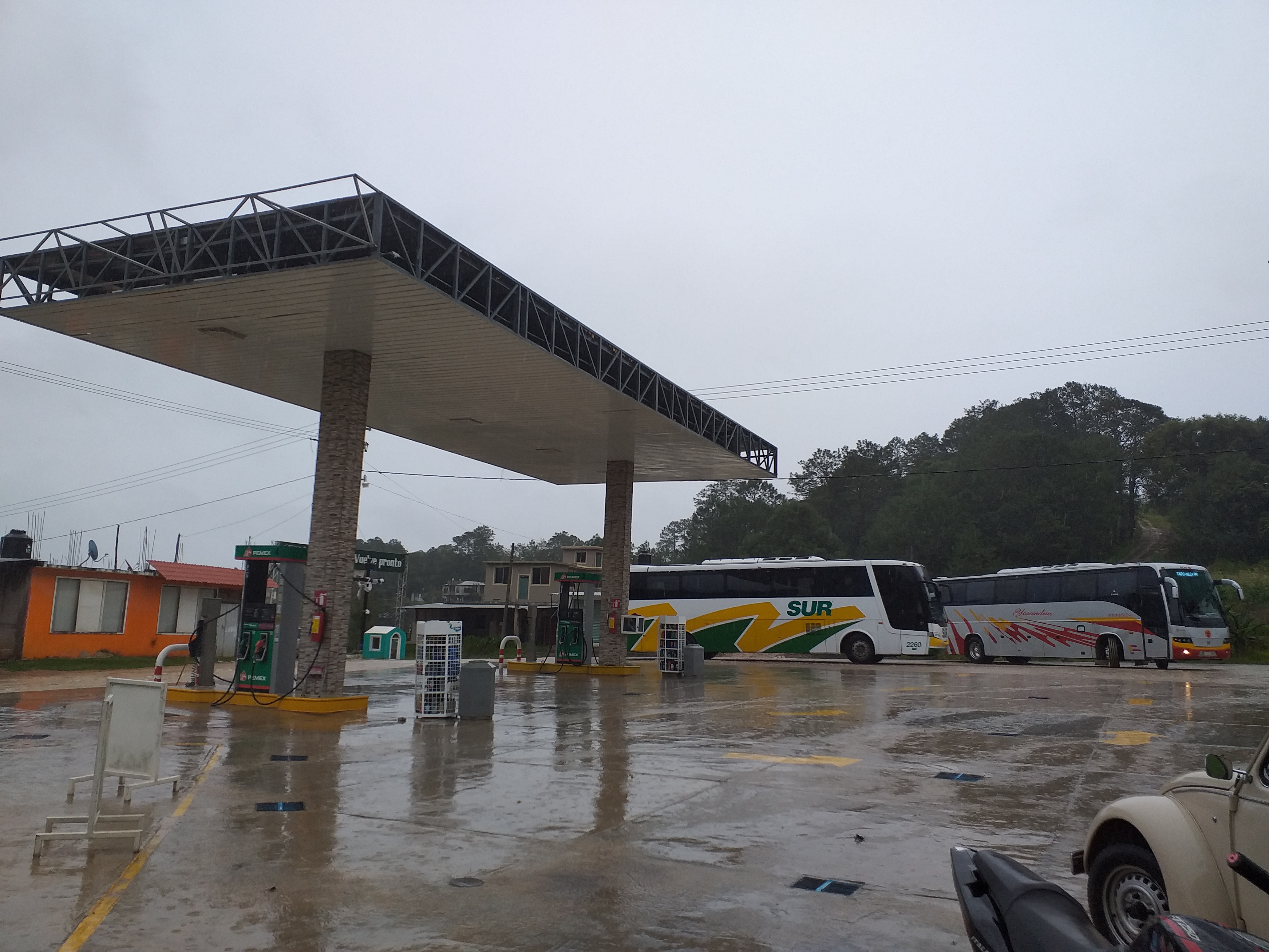 Café del Campo image 2