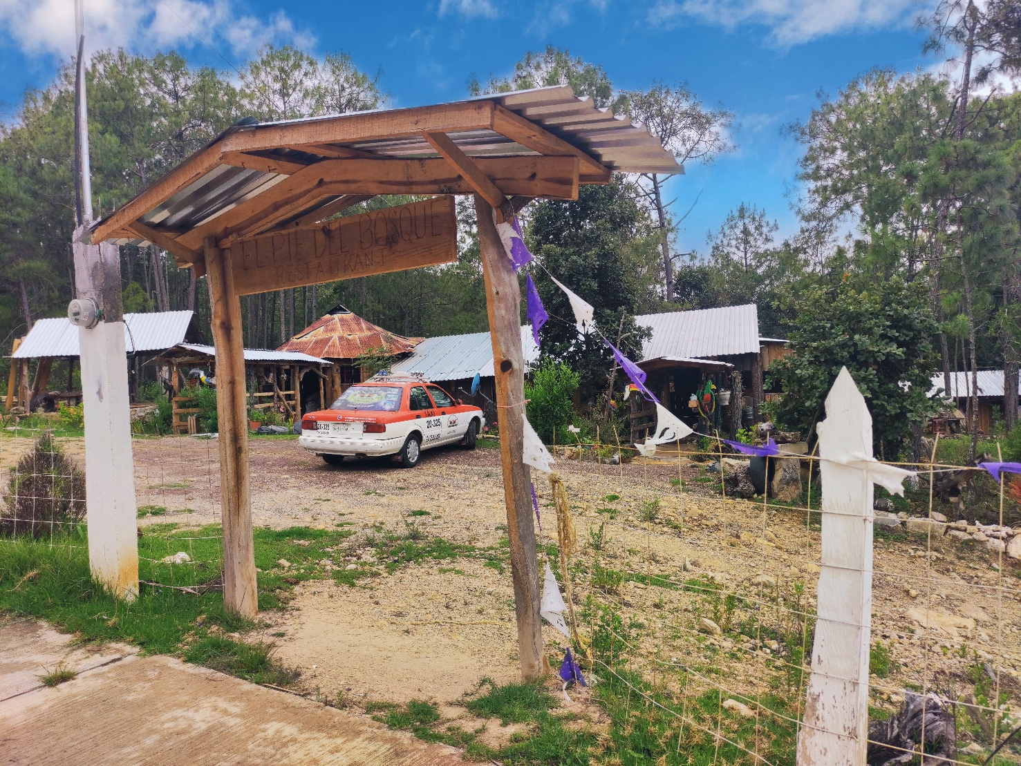 El Pie Del Bosque image 1