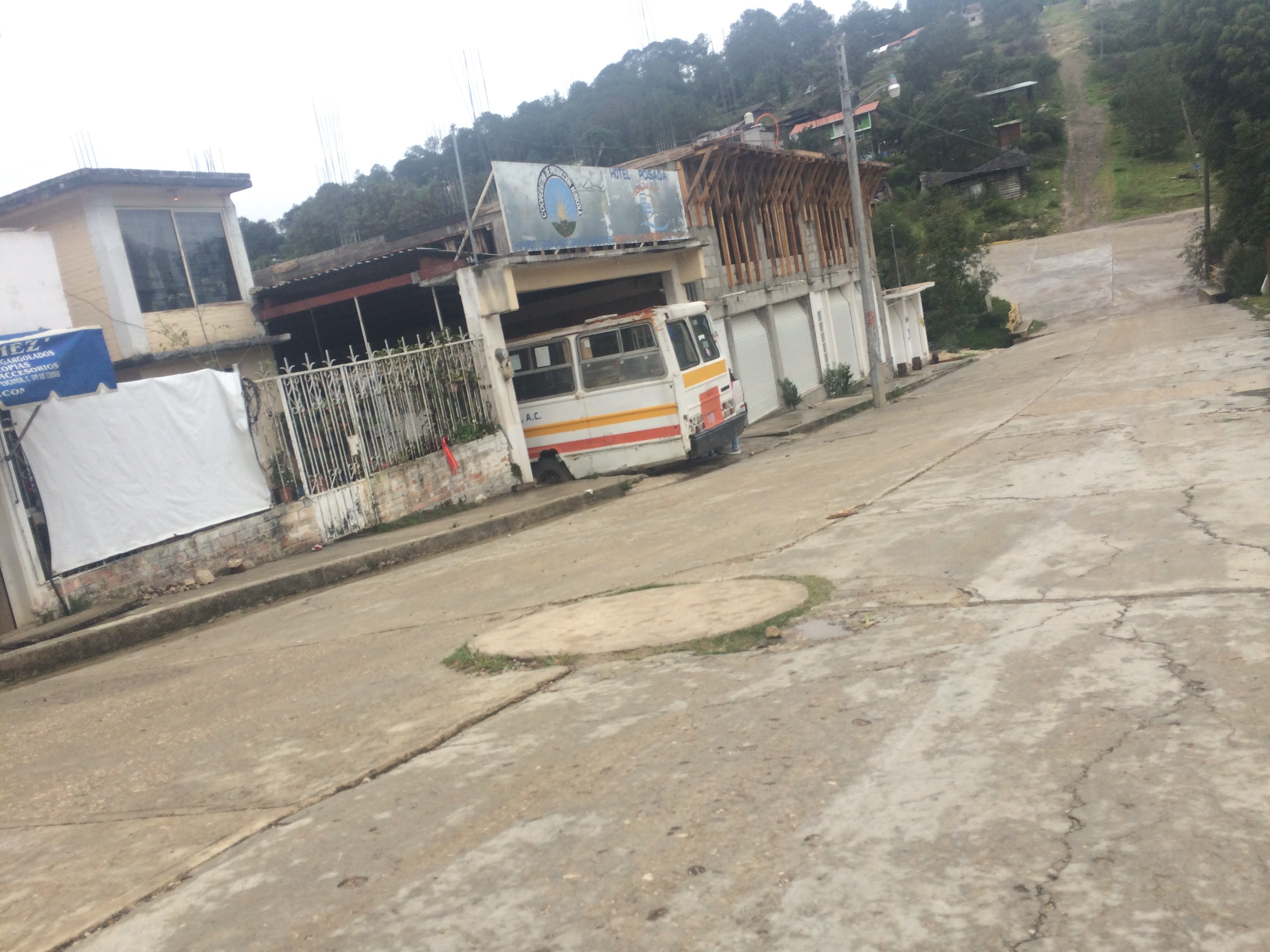 TAQUERIA- TACO MOVIL image 5