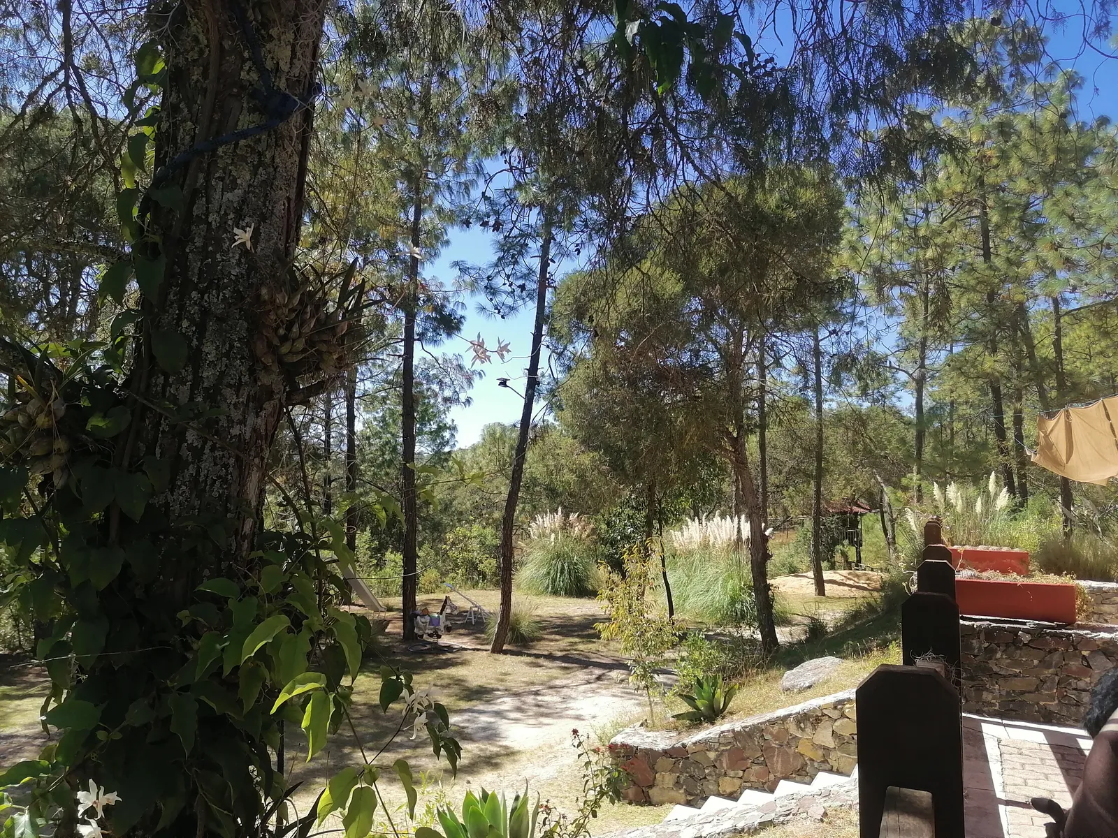 La Granja Restaurant image 3