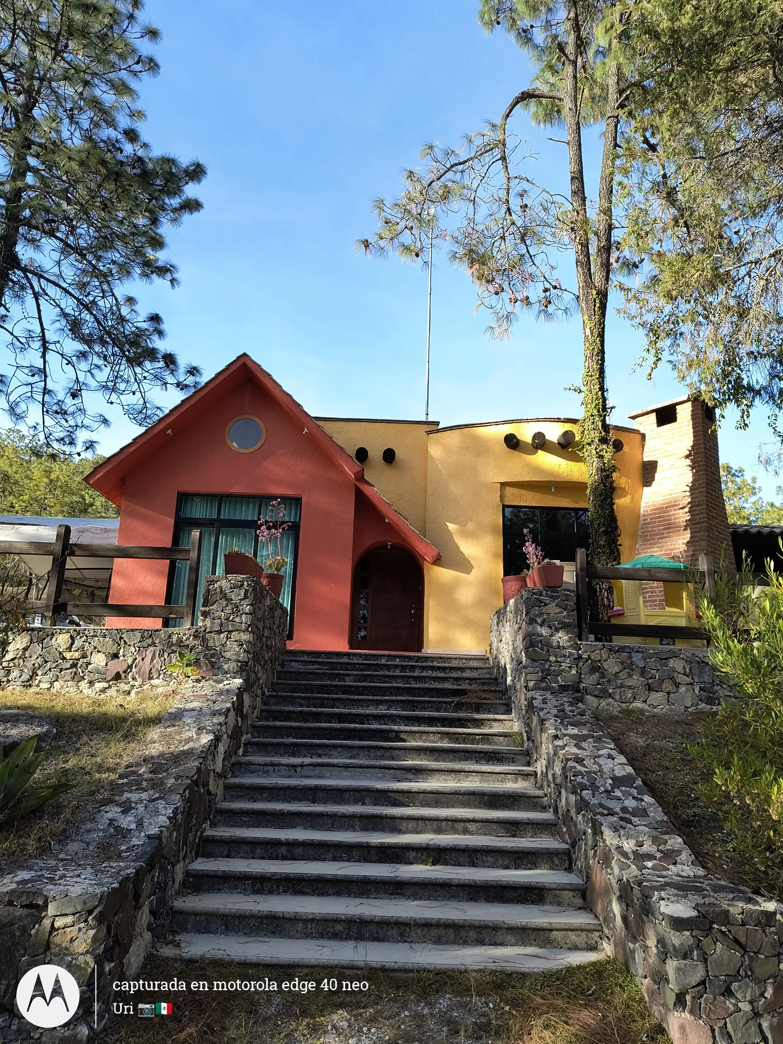 La Granja Restaurant image 4