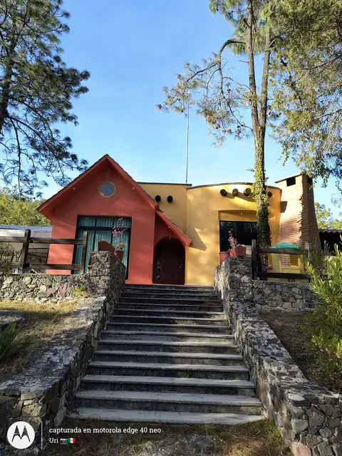 La Granja Restaurant image 4