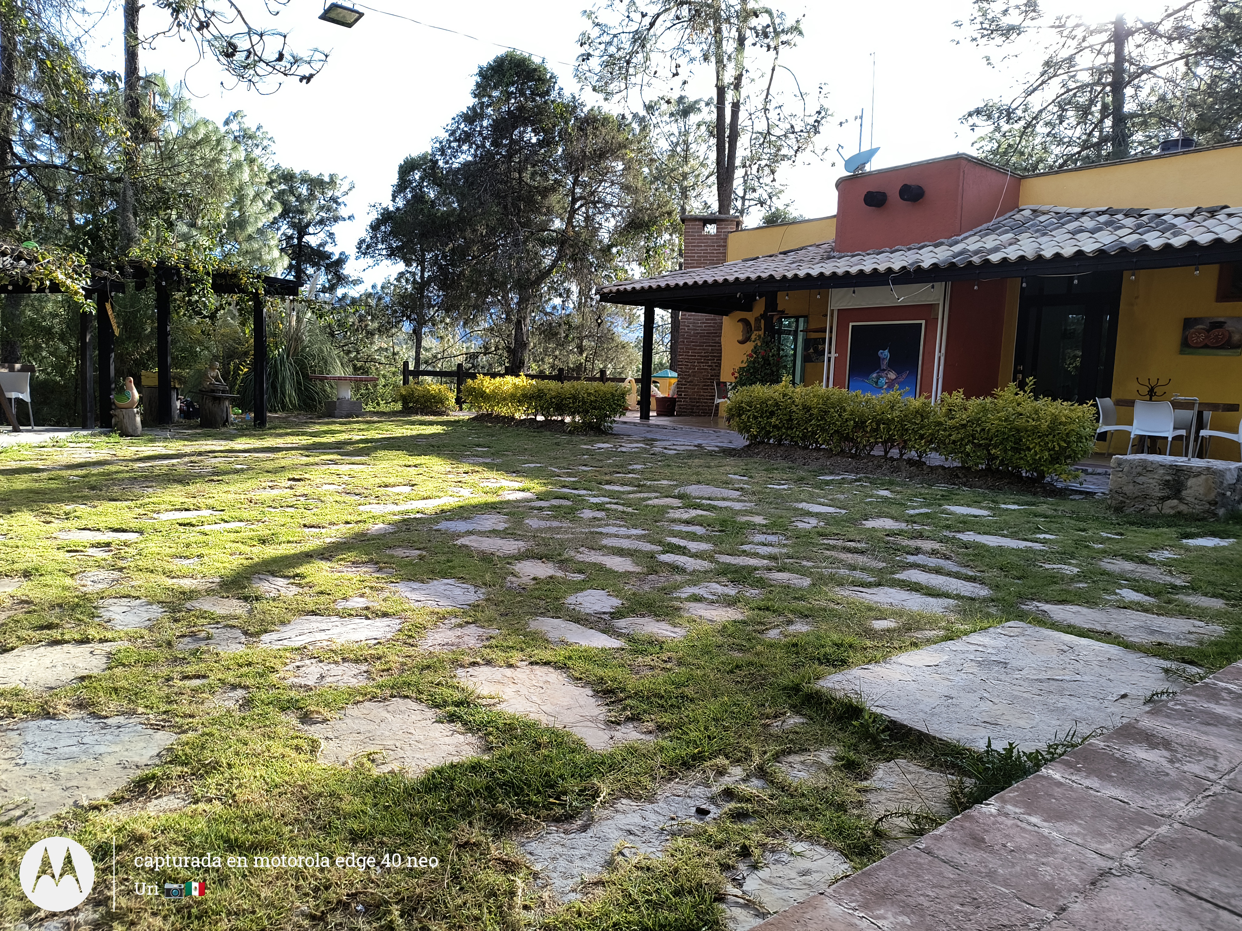 La Granja Restaurant image 5