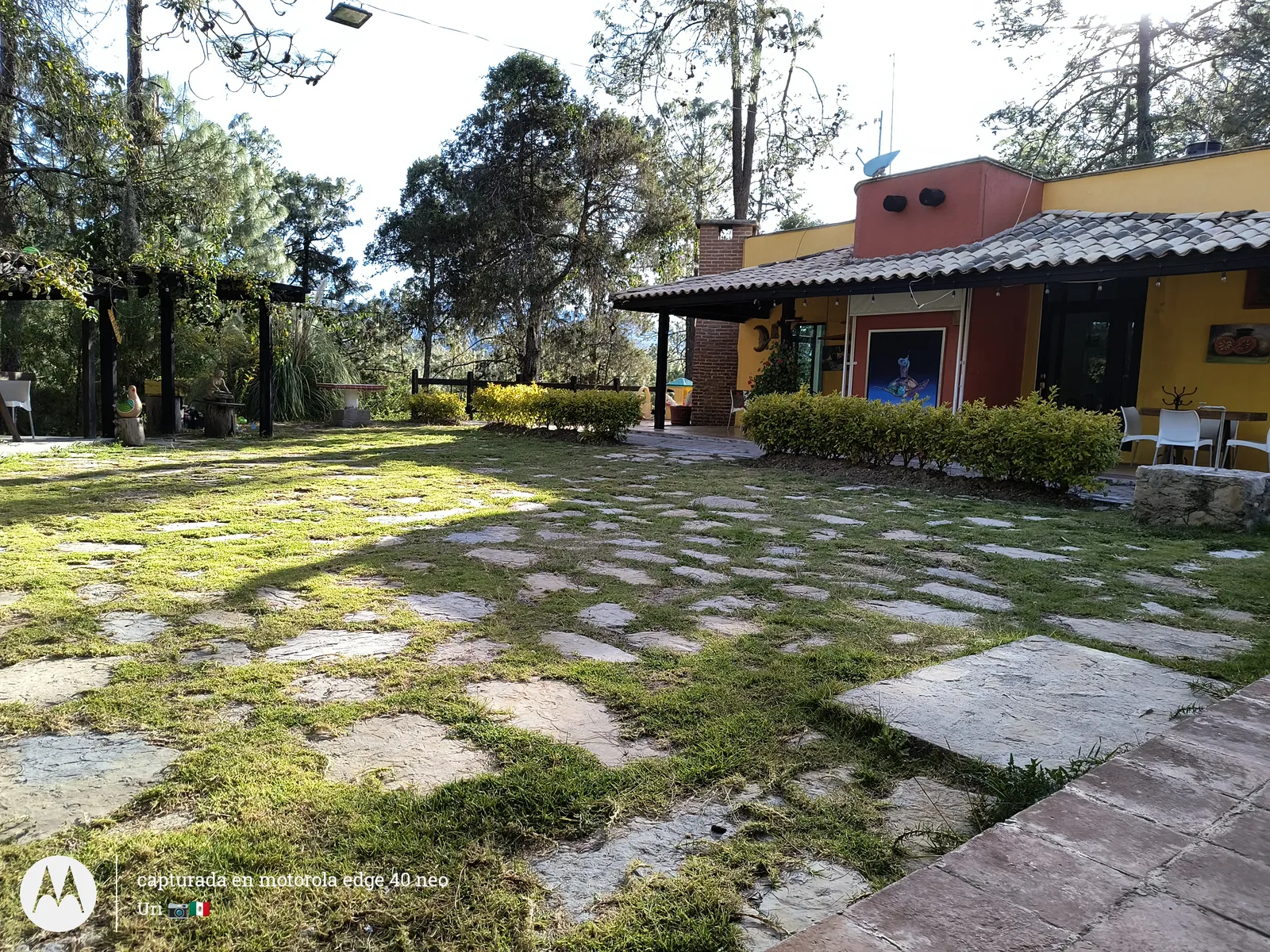 La Granja Restaurant image 5