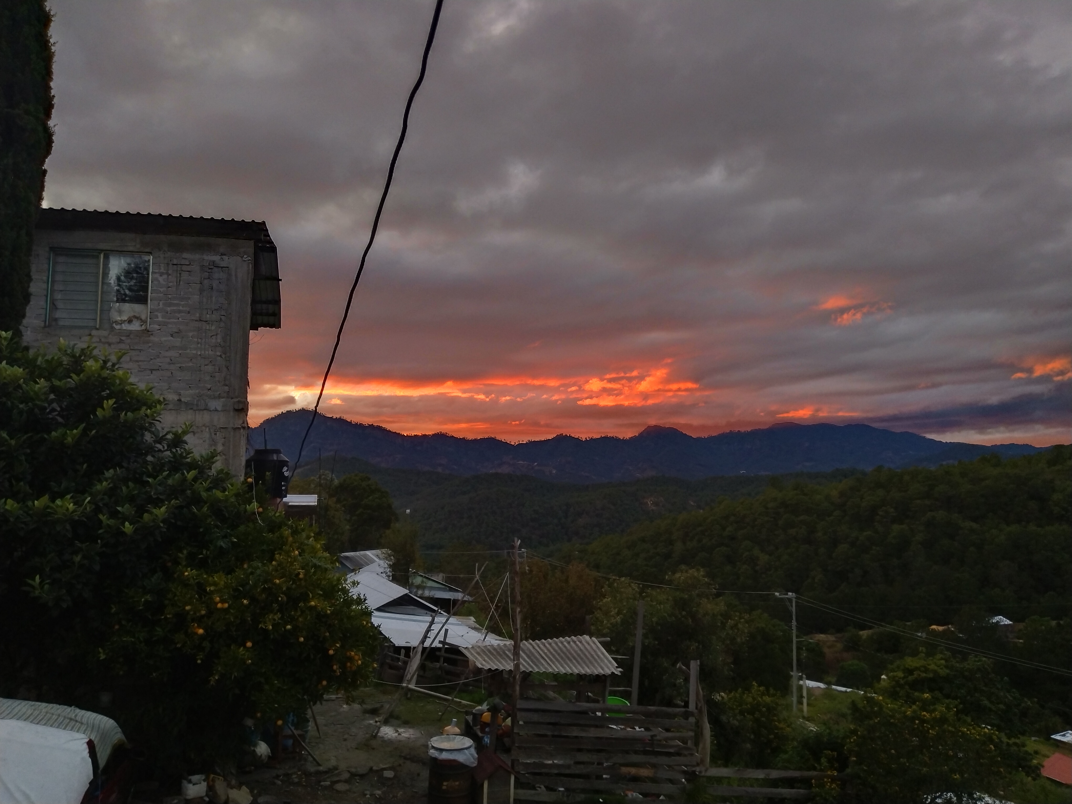 Taquería El monchis image 1