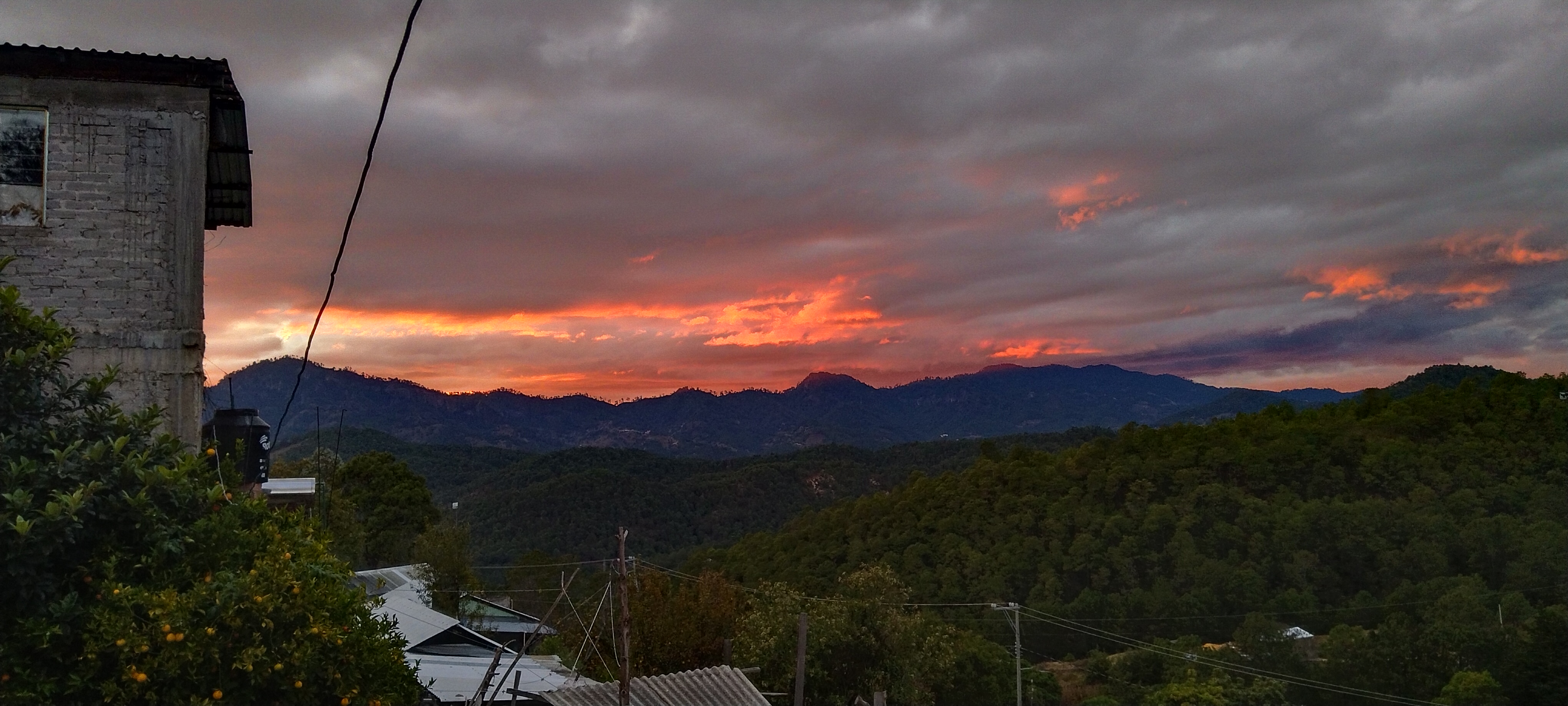 Taquería El monchis image 2