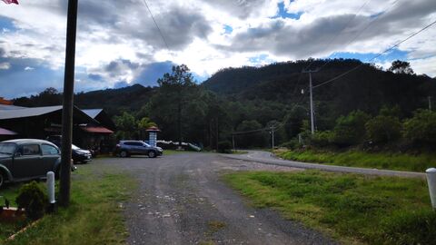 "Campestre del Bosque" Restaurant image 7