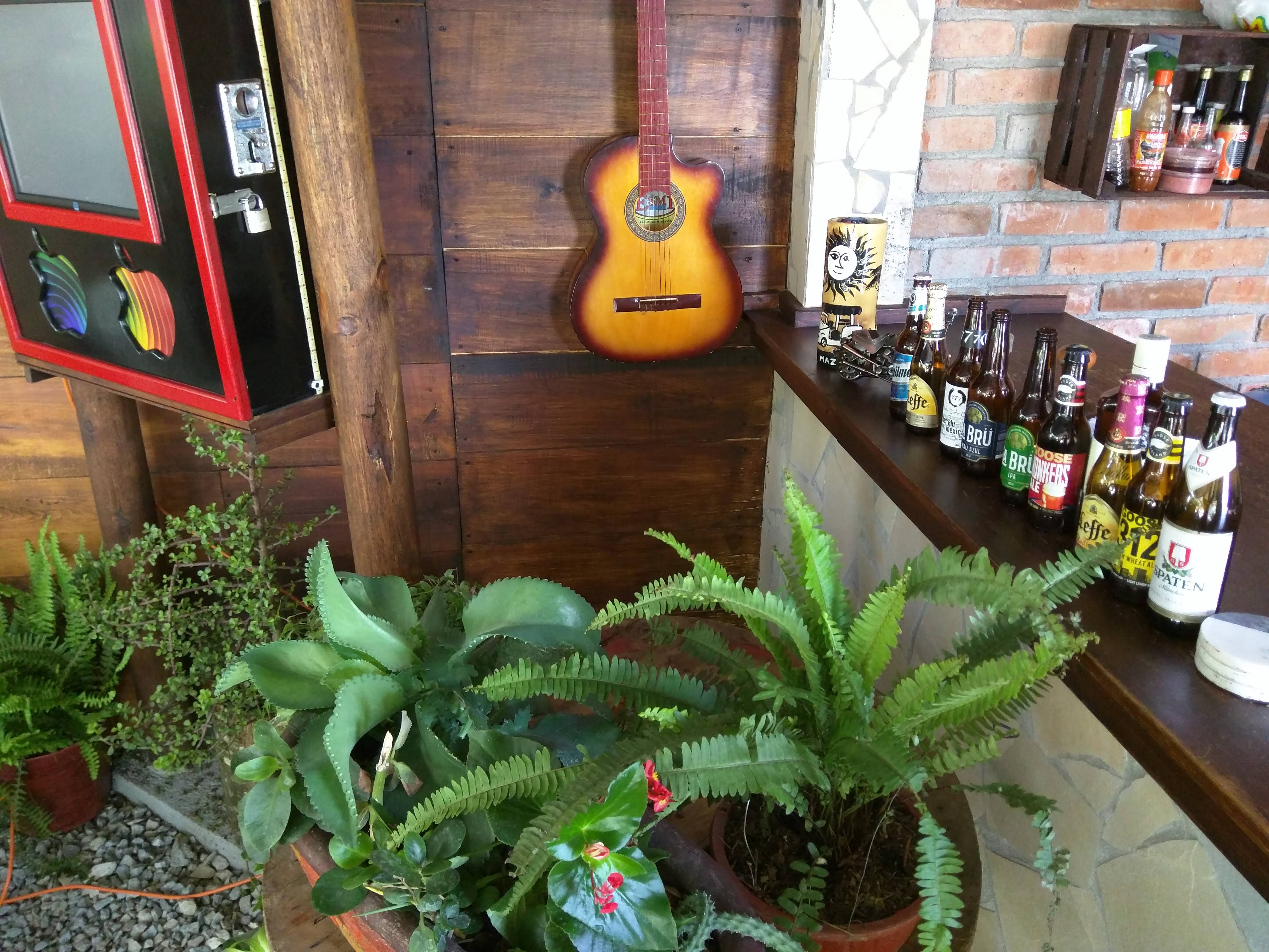 Botanero de Malú image 9