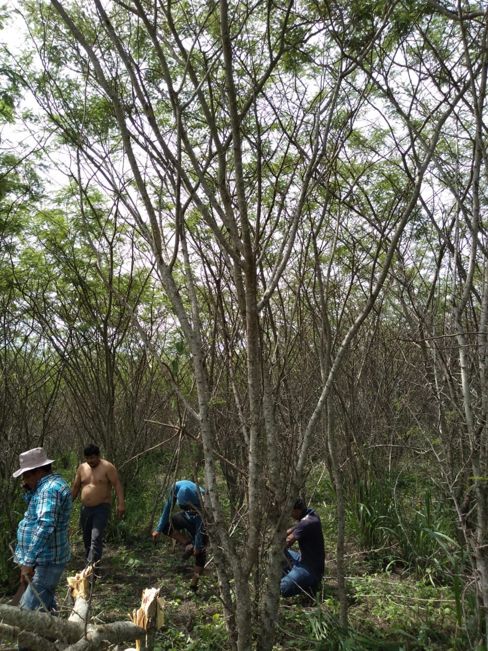 Restaurant Los Arcos image 3