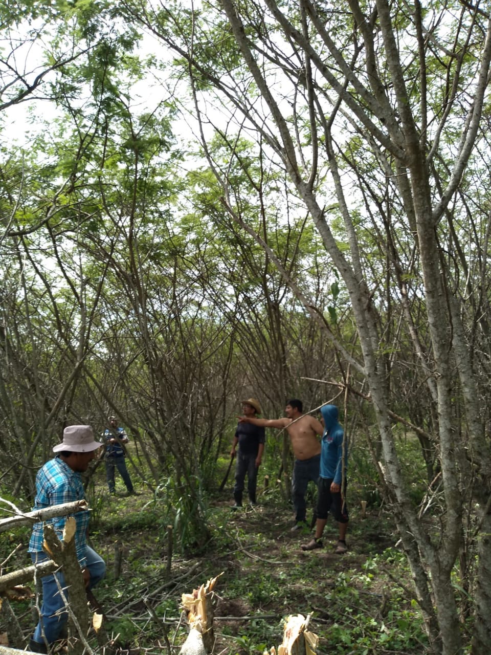 Restaurant Los Arcos image 8