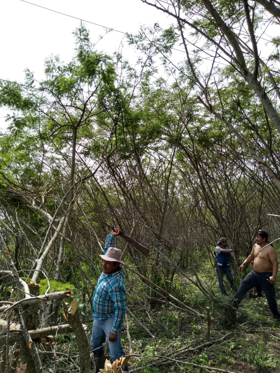Restaurant Los Arcos image 9