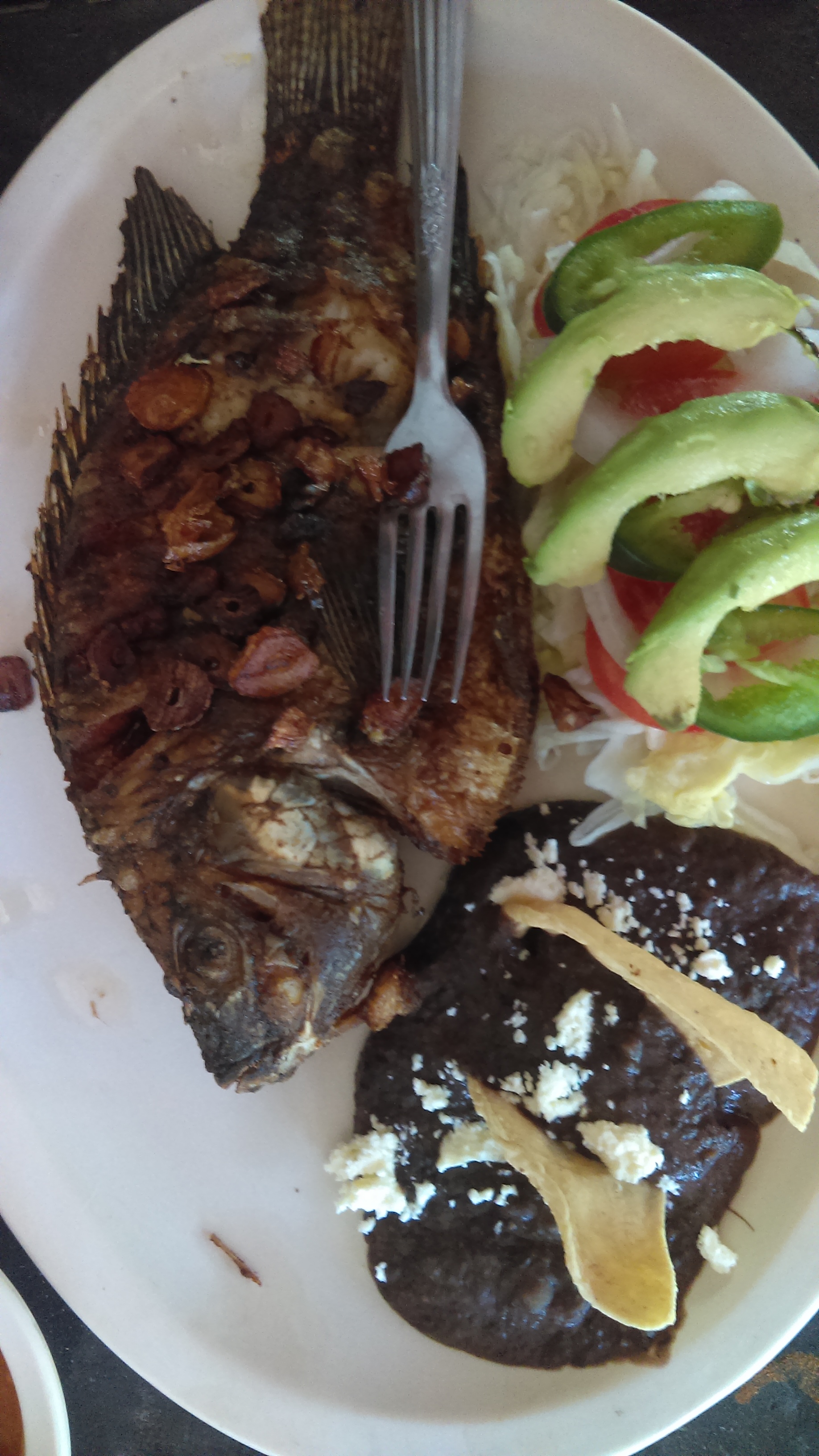 Cascadas de Agua Azul image 2