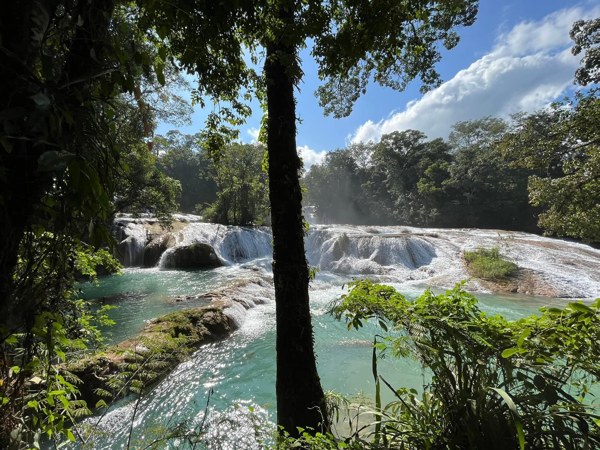 Cascadas de Agua Azul image 8
