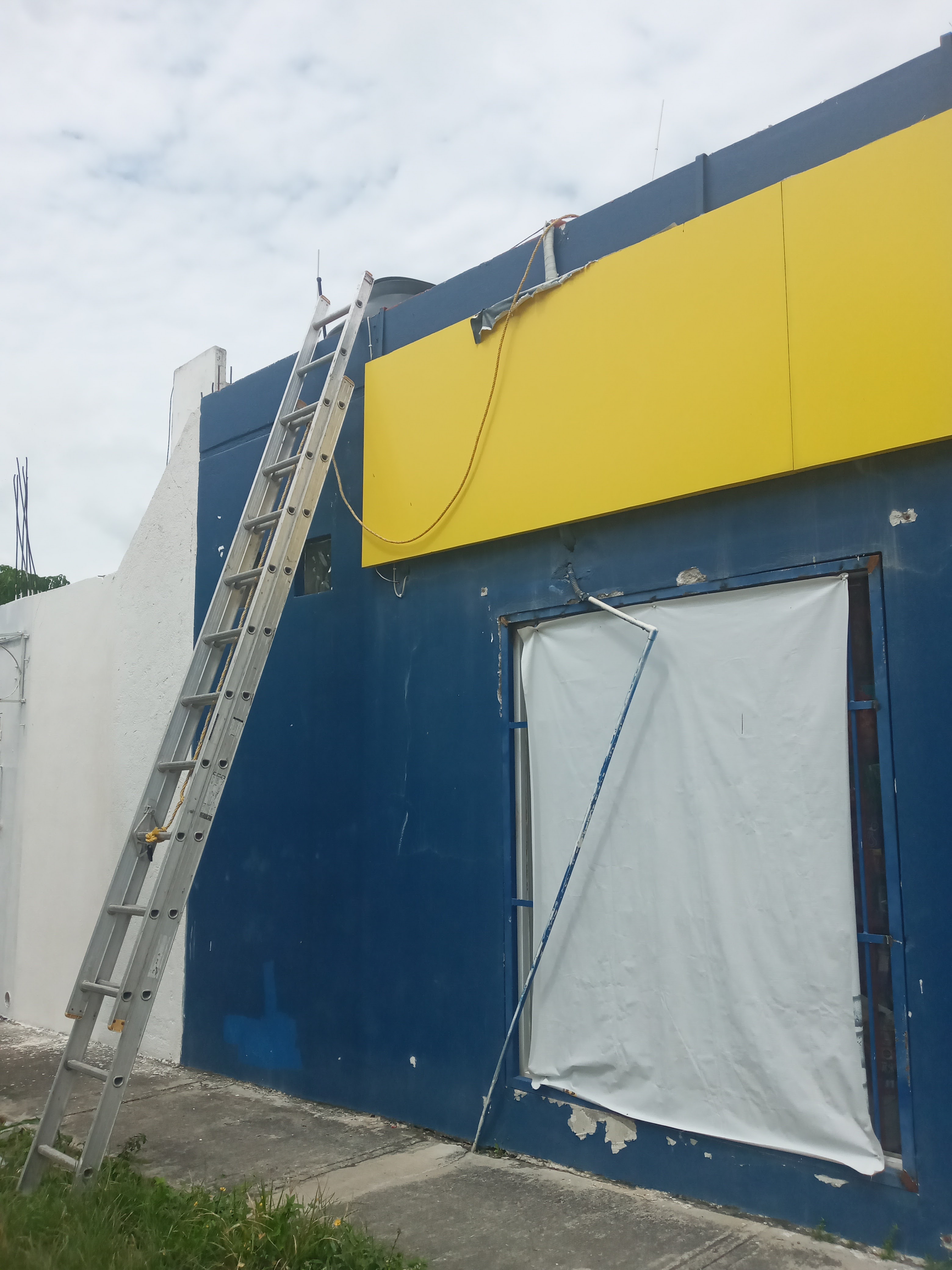 Taquería El Cactus image 4