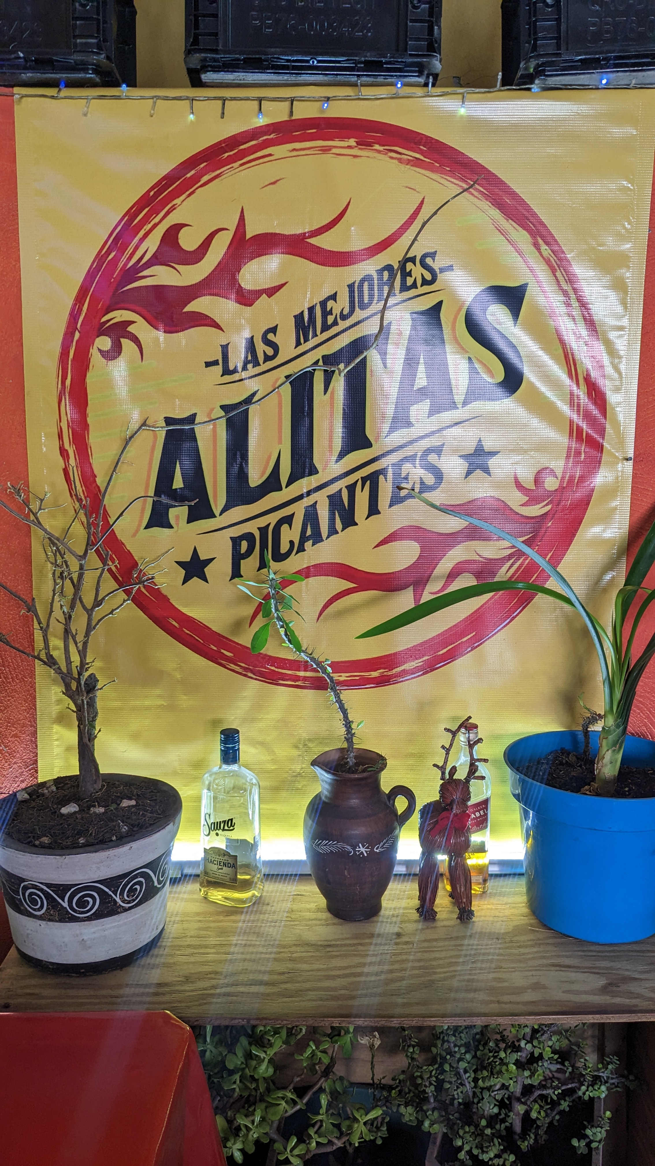 ALITAS FRANCO image 5