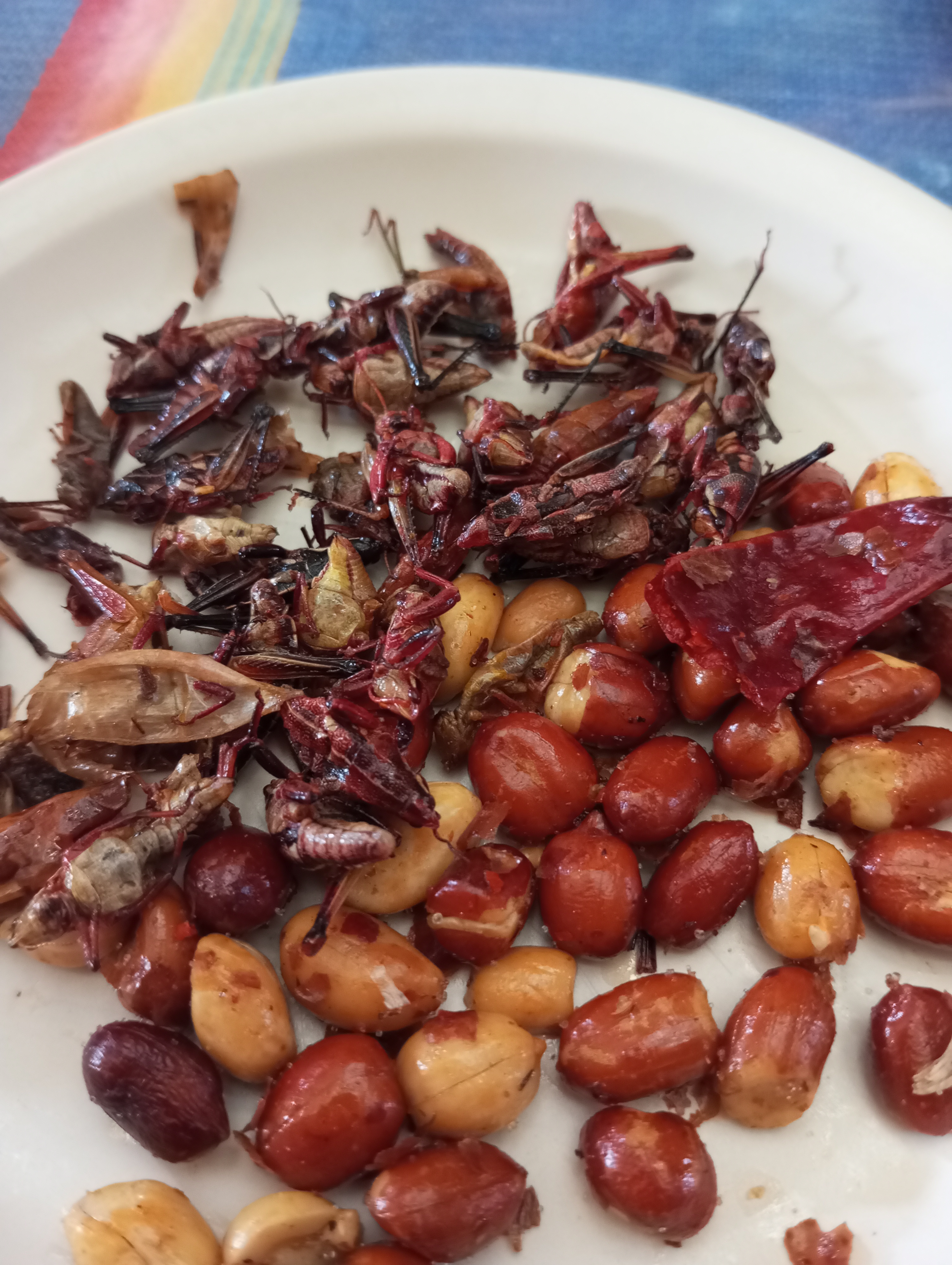 Tlayudas Mi Lindo Oaxaca image 3