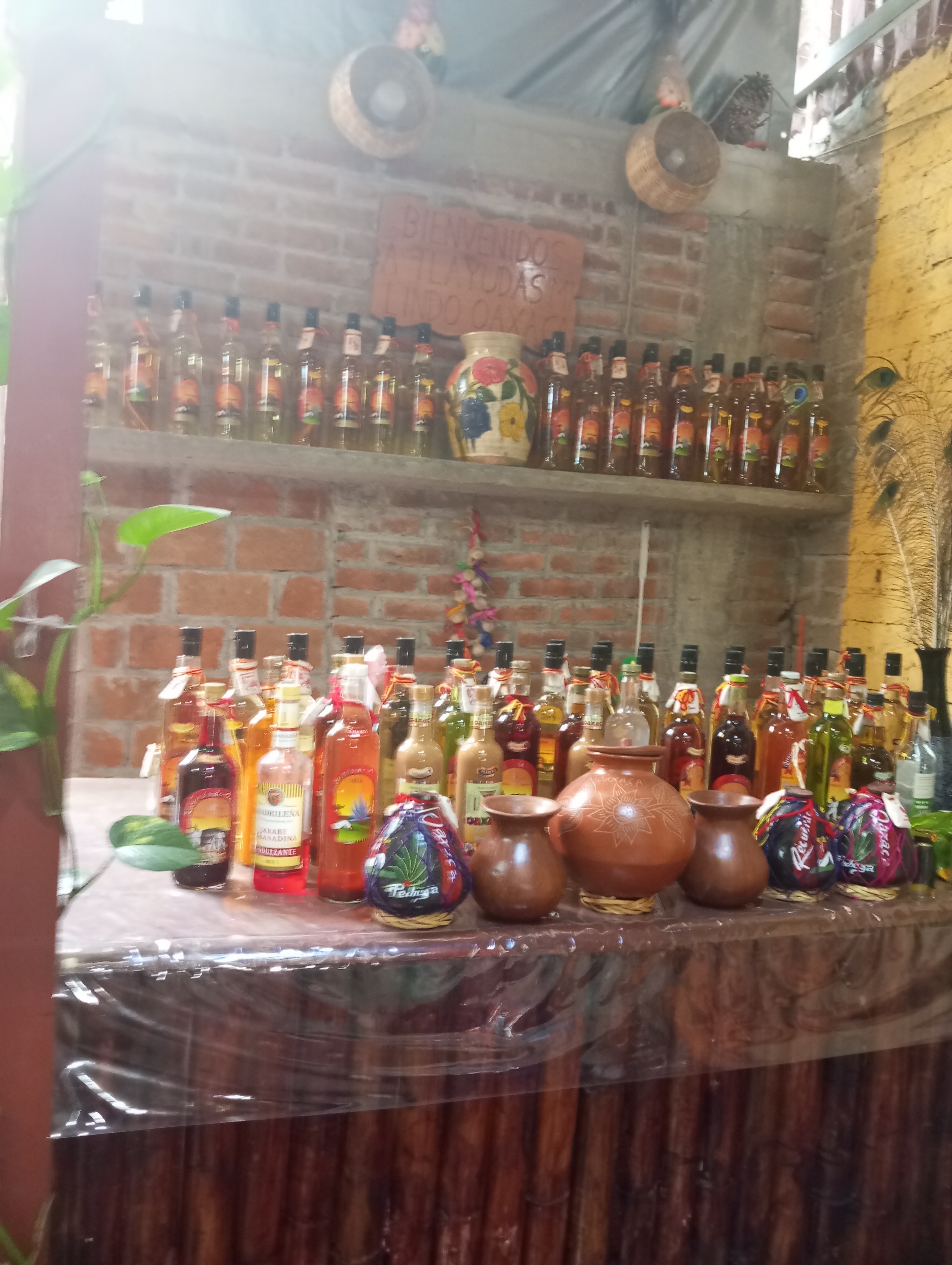 Tlayudas Mi Lindo Oaxaca image 5