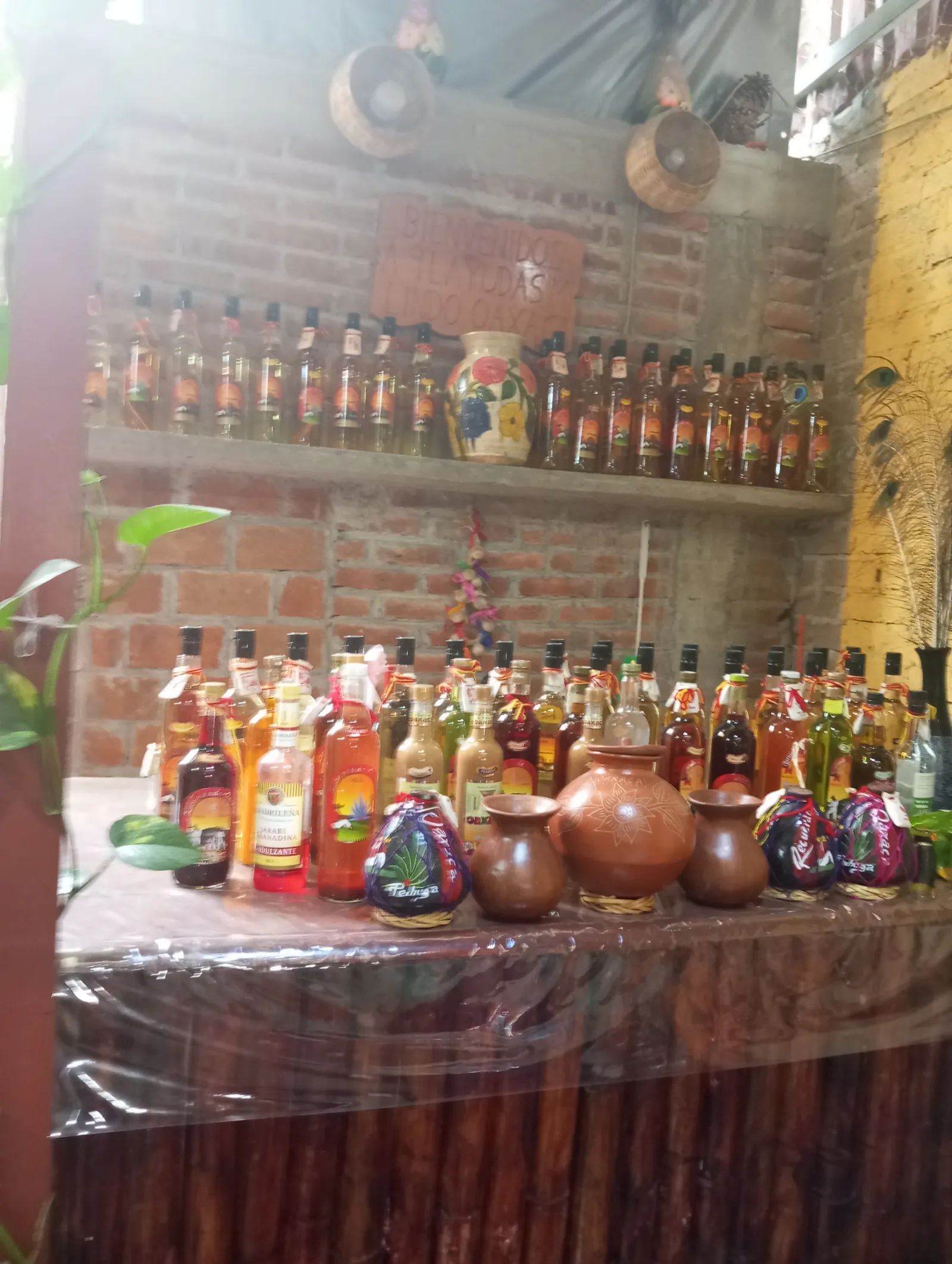 Tlayudas Mi Lindo Oaxaca image 5