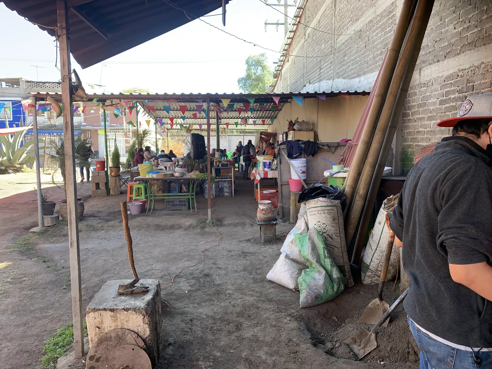 Antojitos image 6