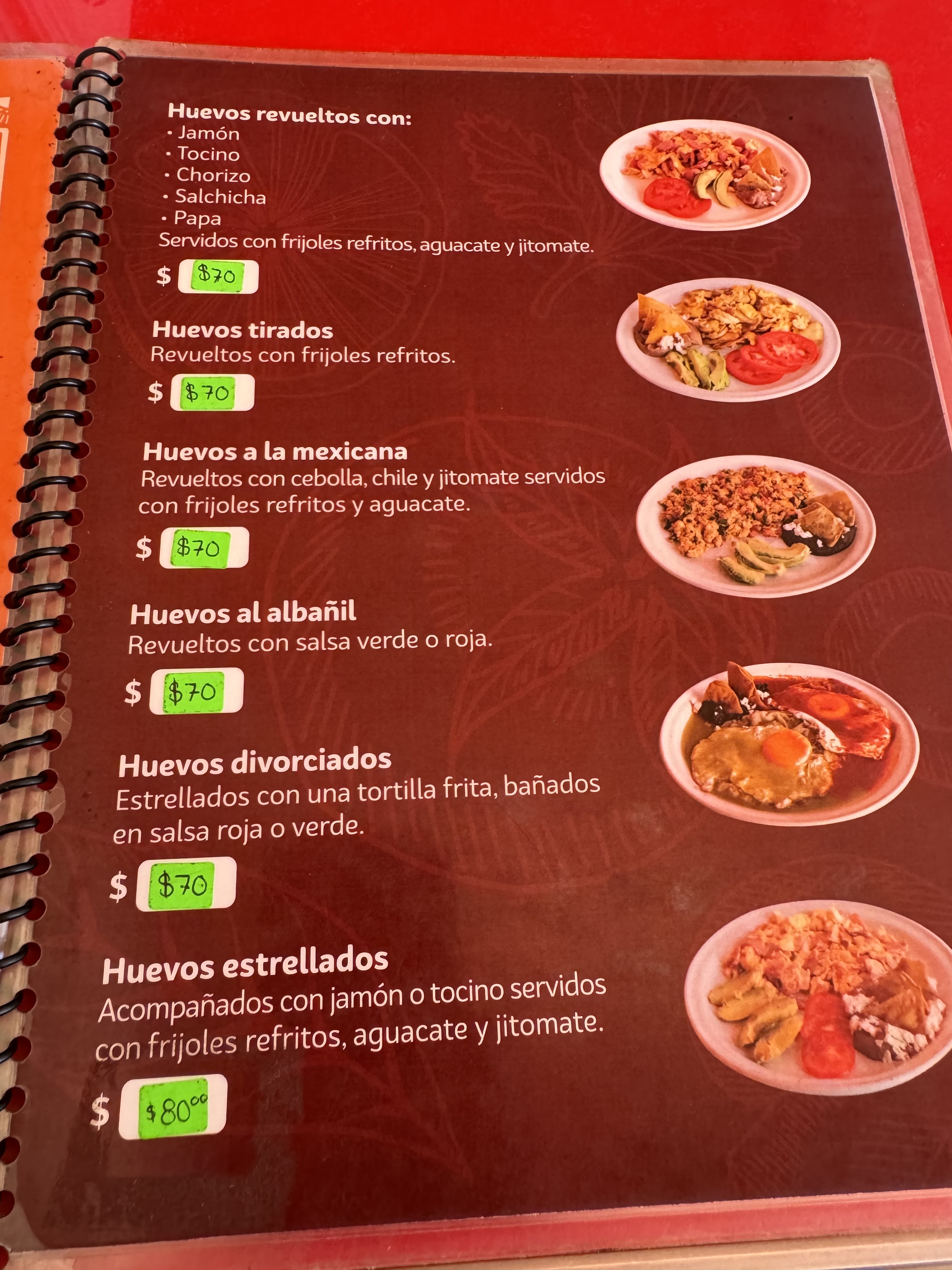 Mi Nuevo Amanecer image 3