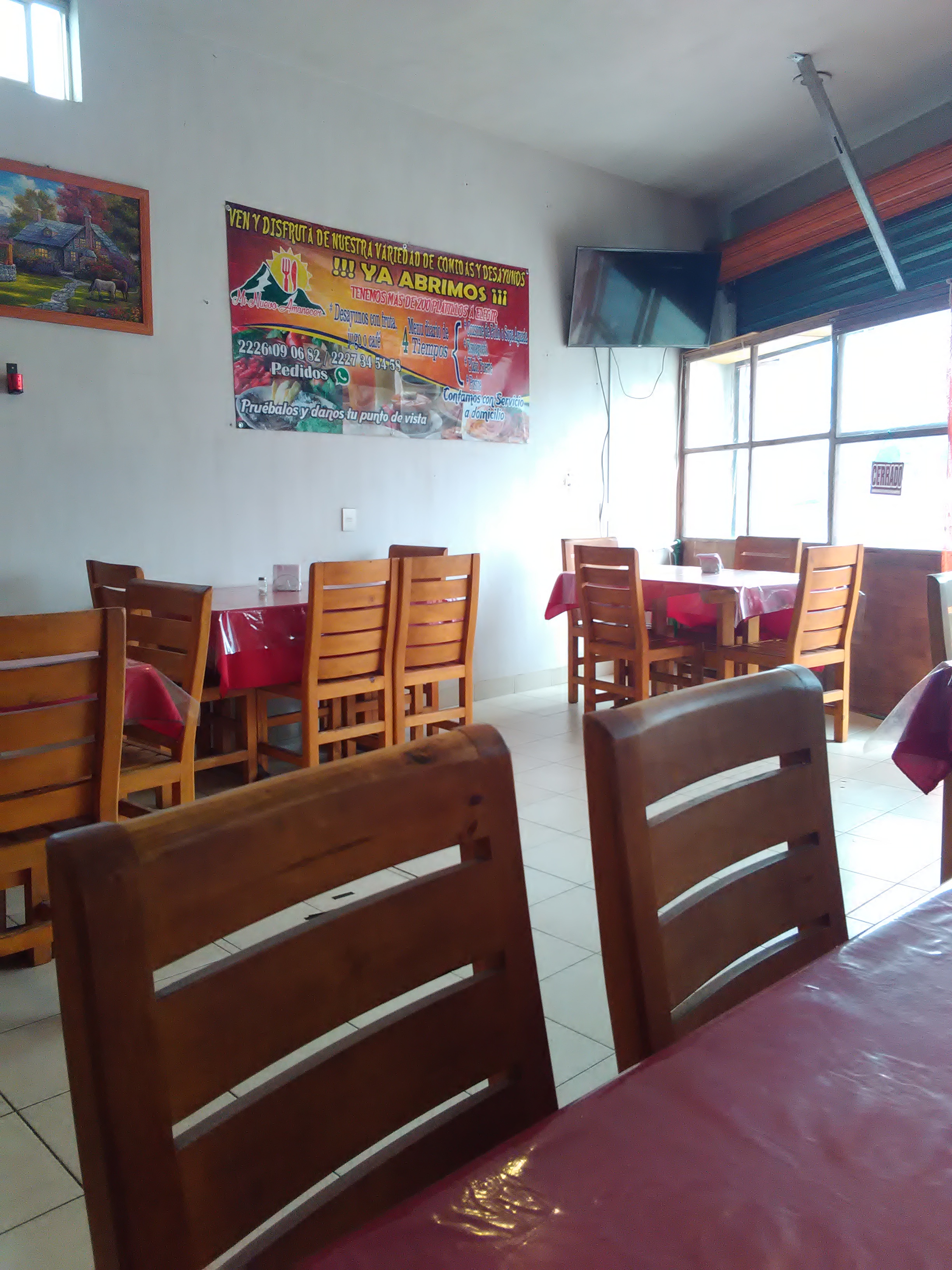 Mi Nuevo Amanecer image 4