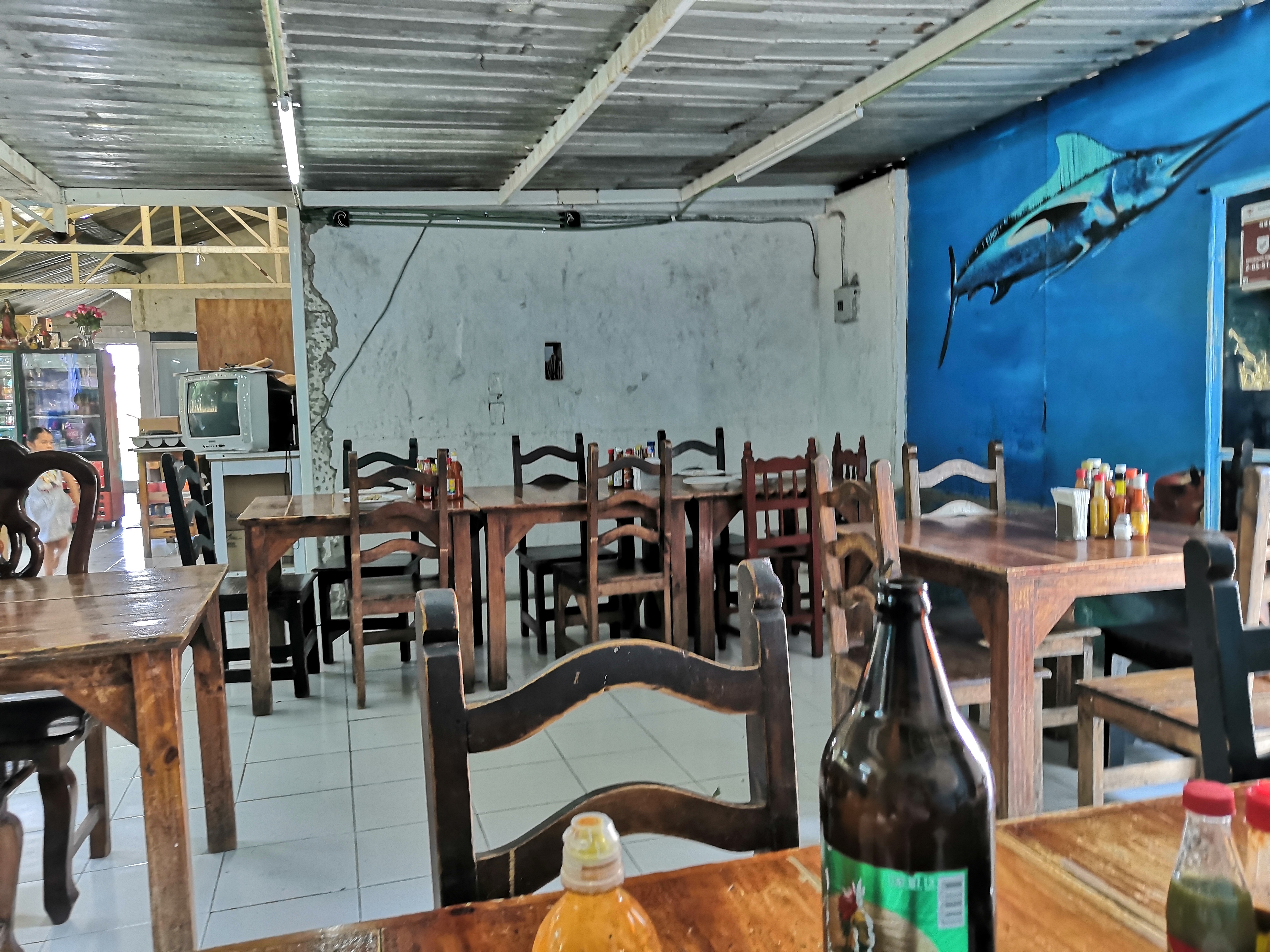 El sazon de los delfines image 1