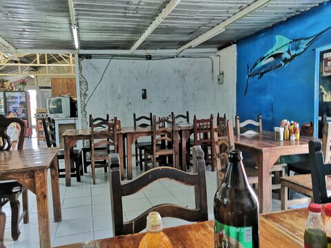 El sazon de los delfines image 1