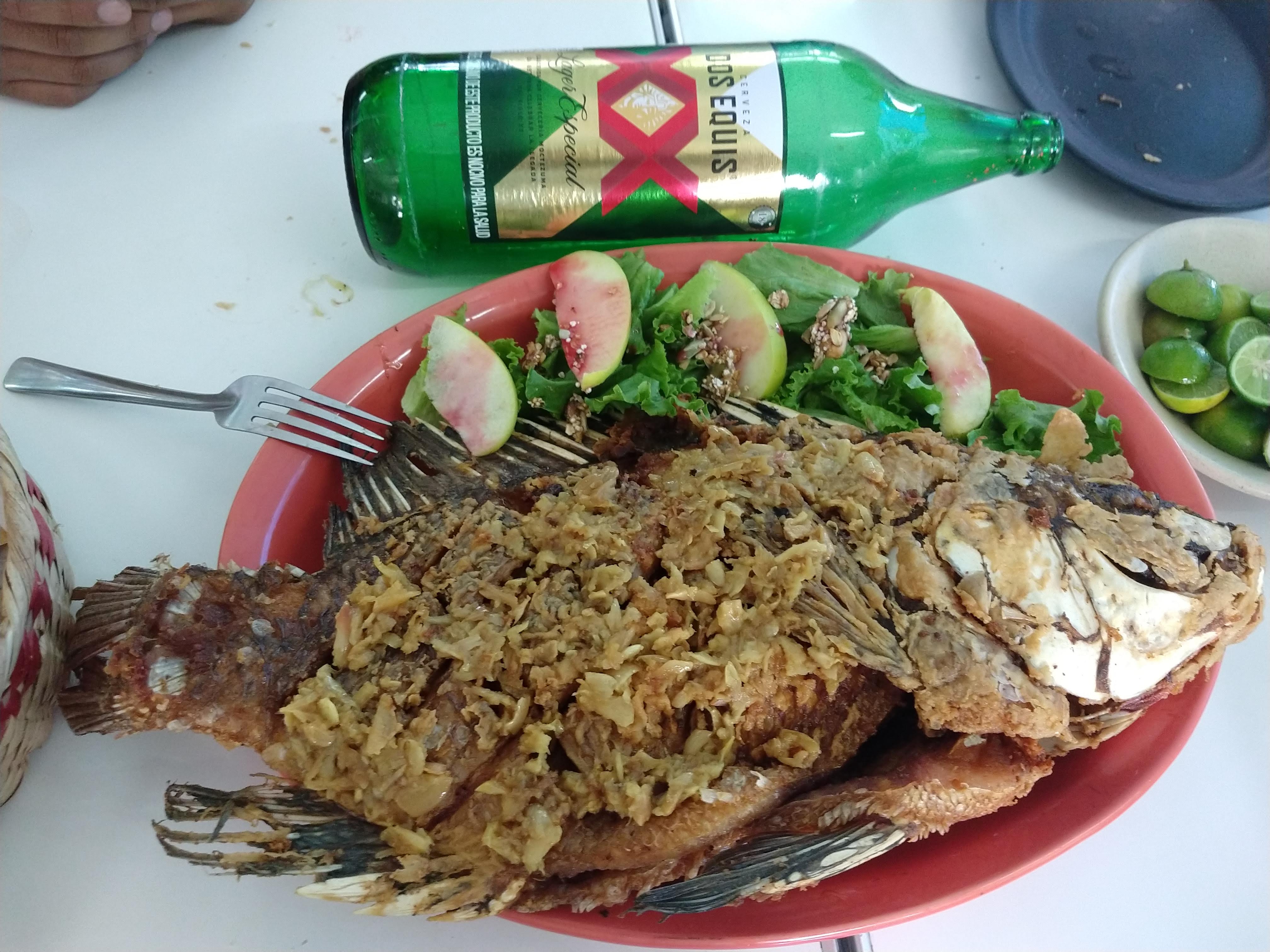 El sazon de los delfines image 3