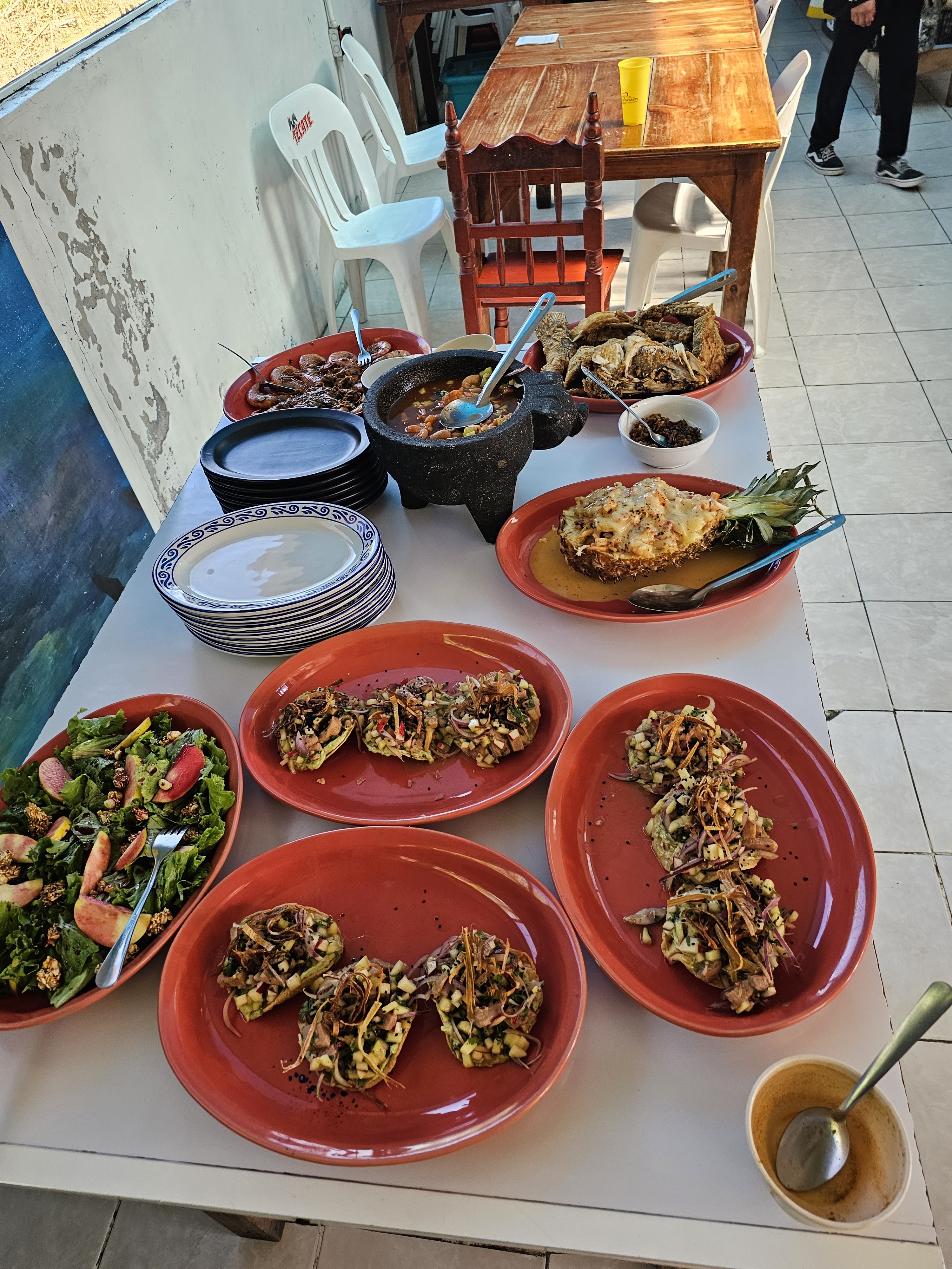 El sazon de los delfines image 4