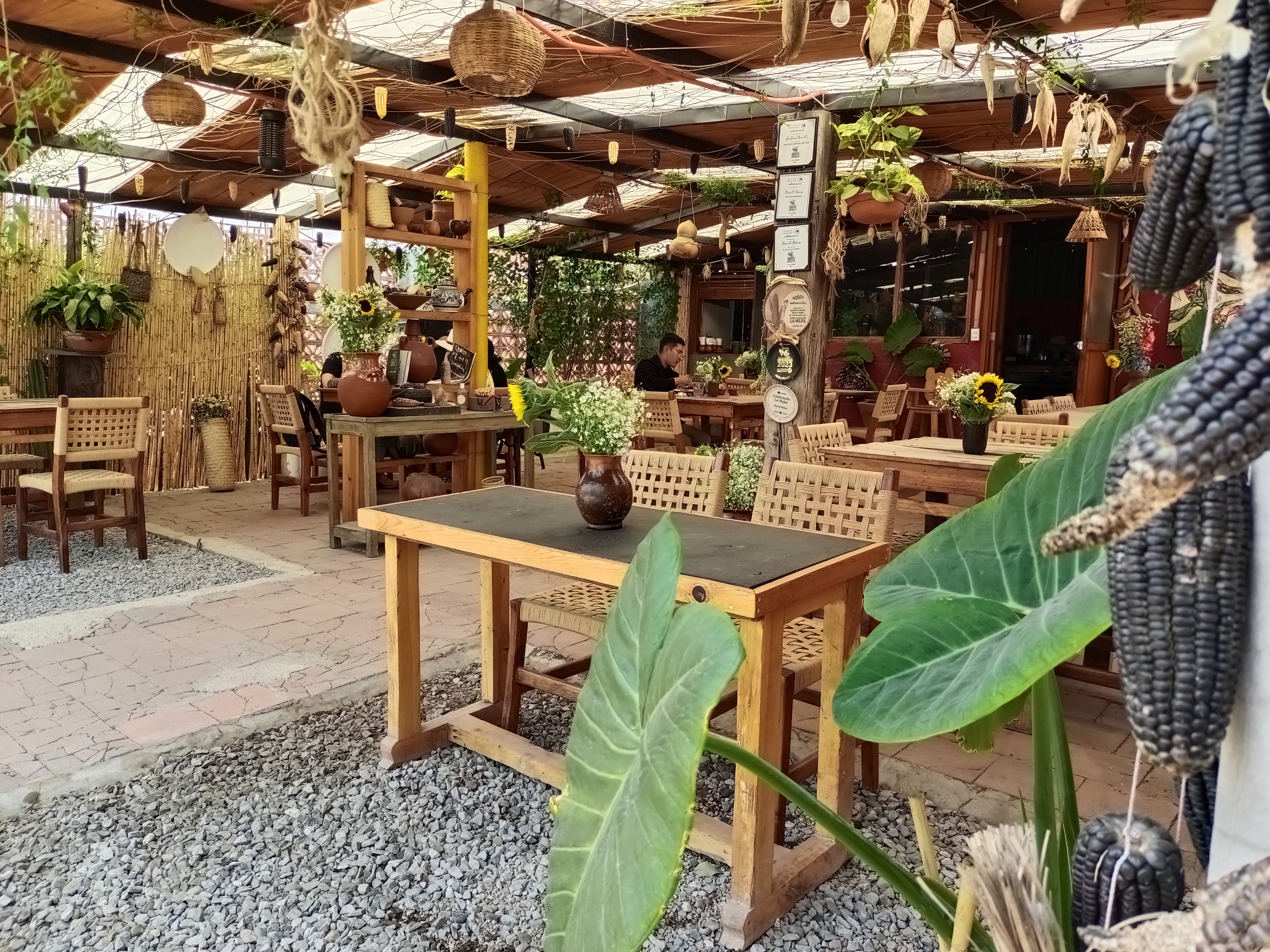 Macuitl molino image 7