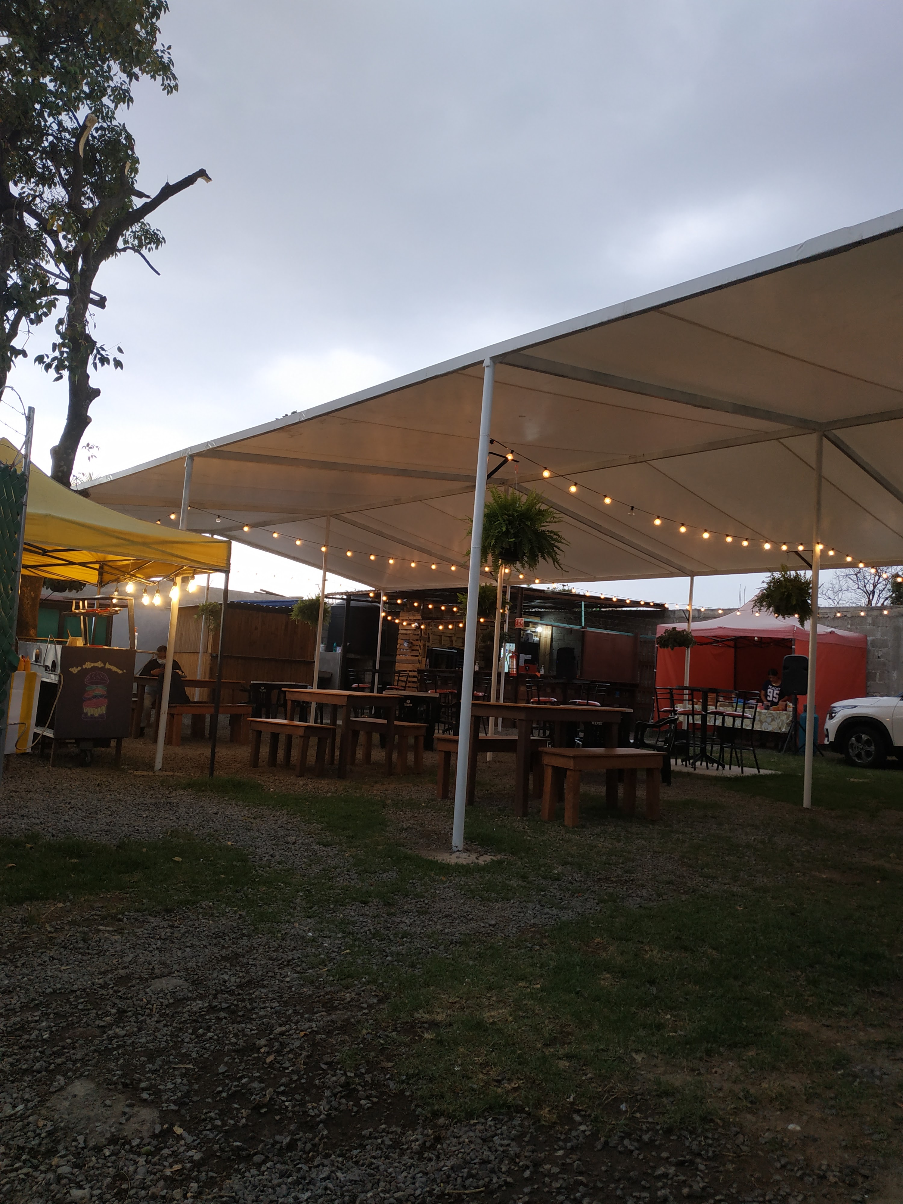 Peter's Family image 9