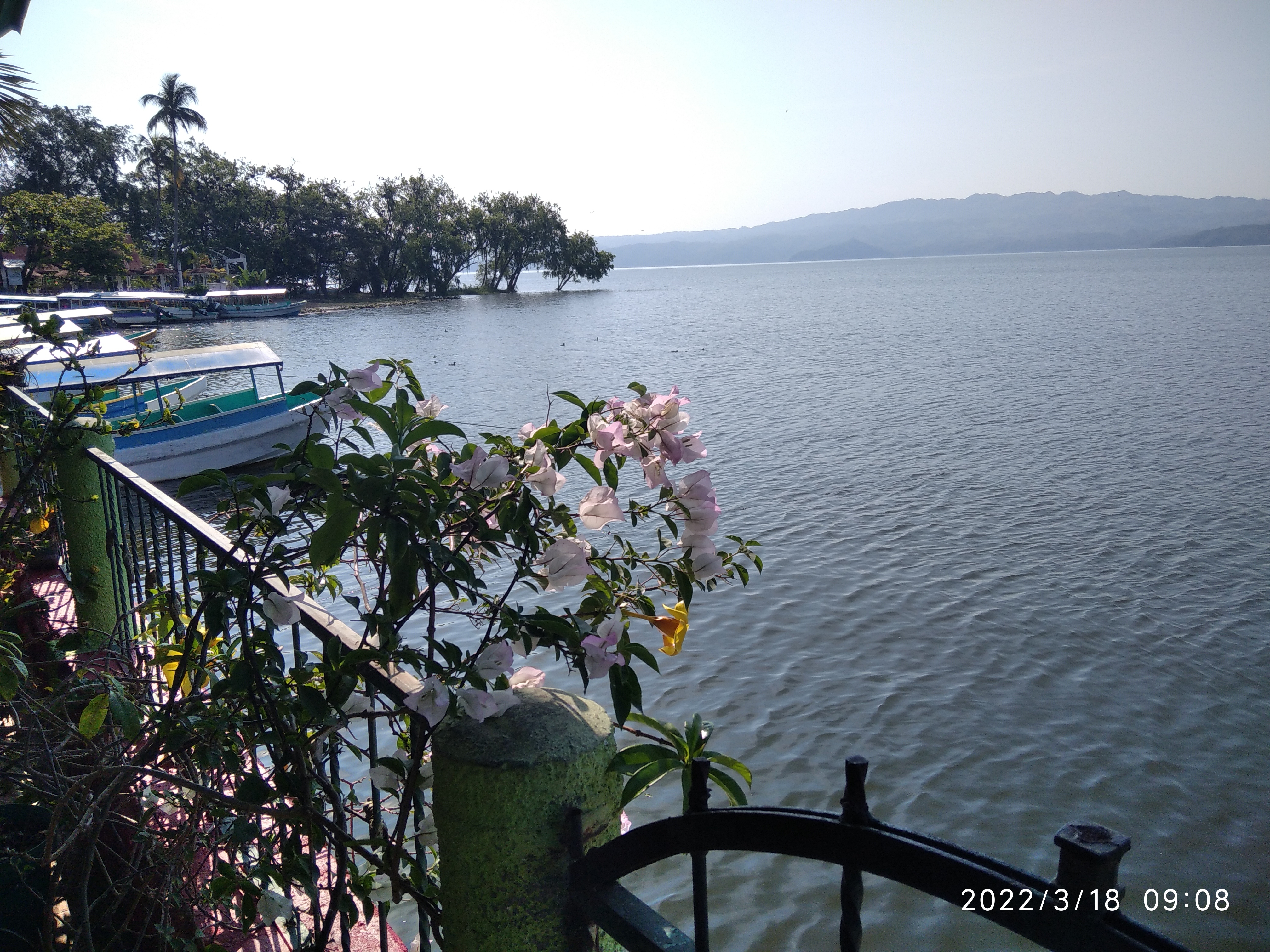 Cabaña Aloha image 6